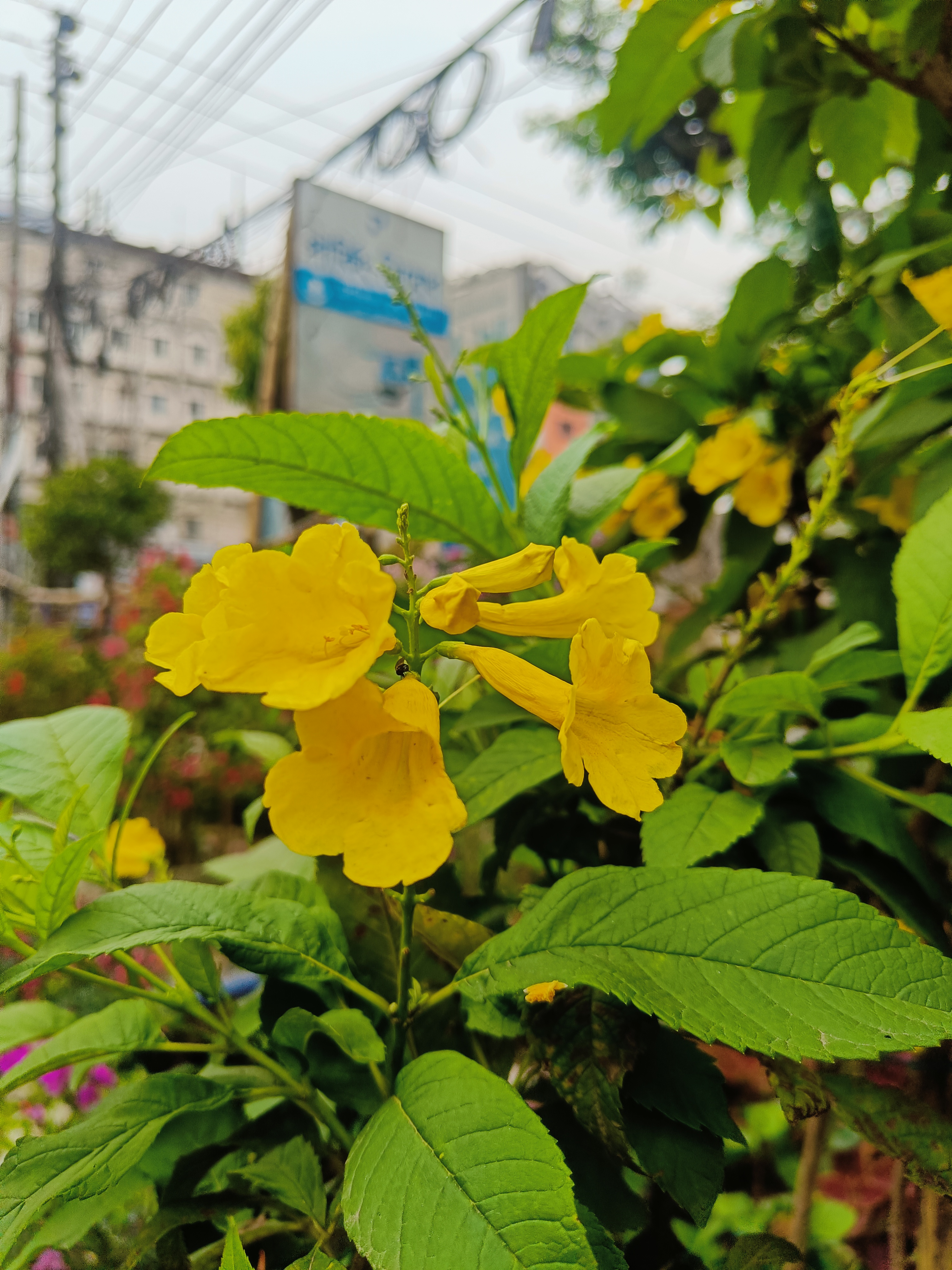 IMG20240320145555.jpg