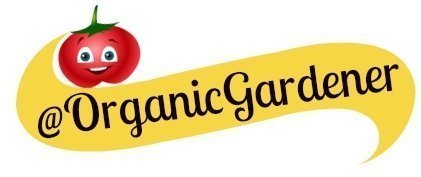 E795CF9C-F4DB-4098-BB26-BA54097694E0 (2).jpeg