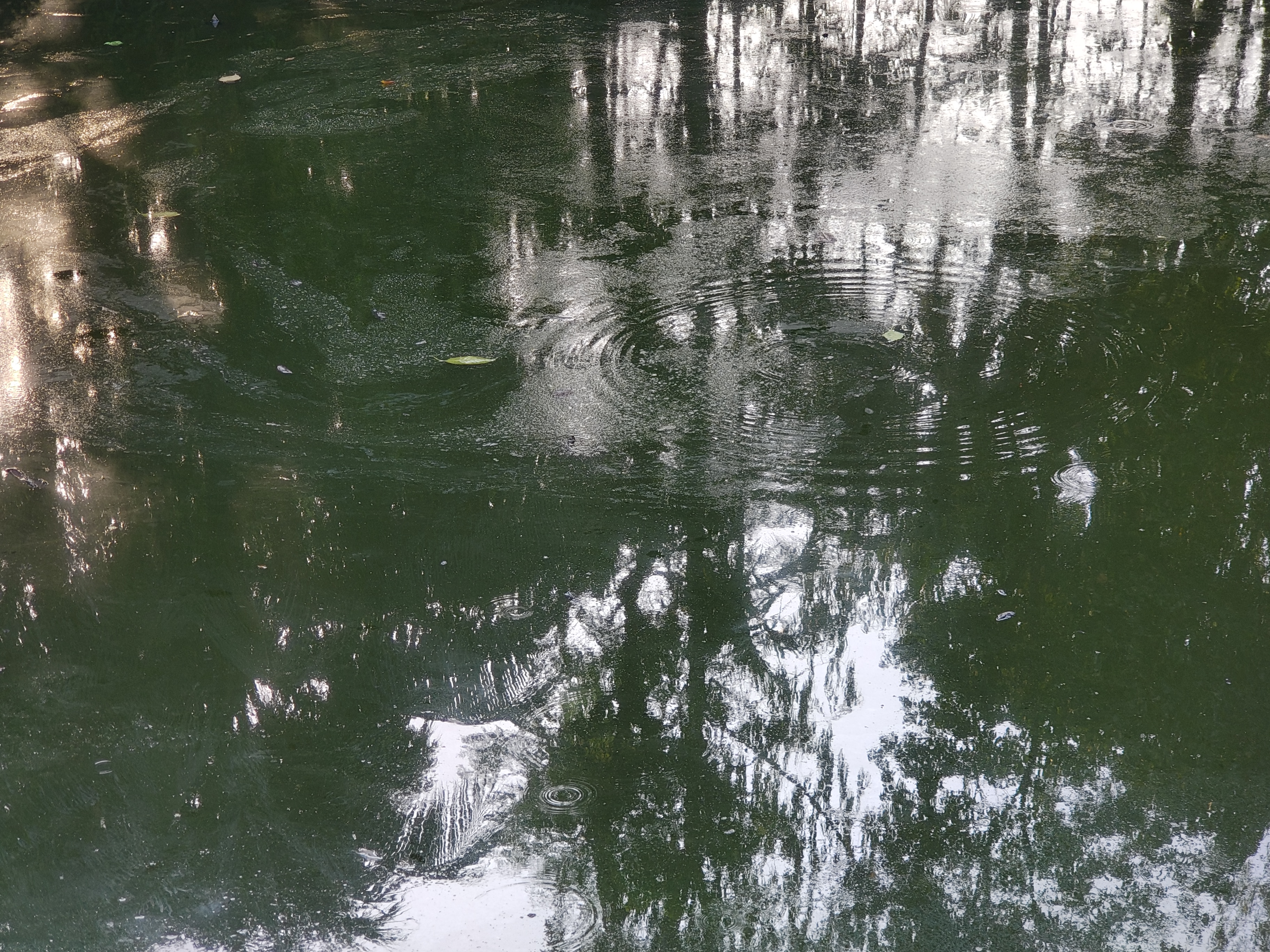 1000065462.jpg