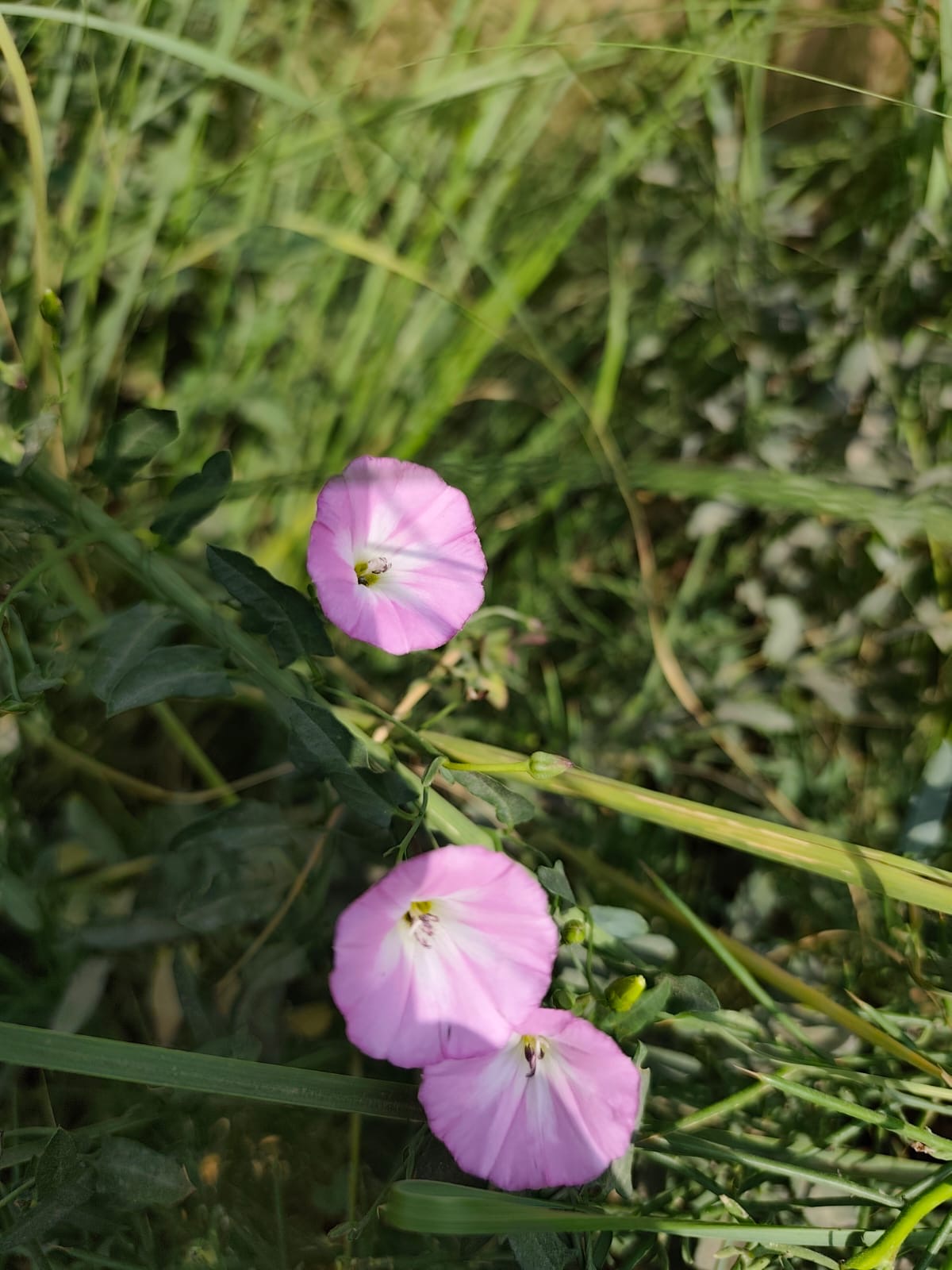 4c70aeed-f911-4253-99fc-75eaa6e3cdb3.jpeg