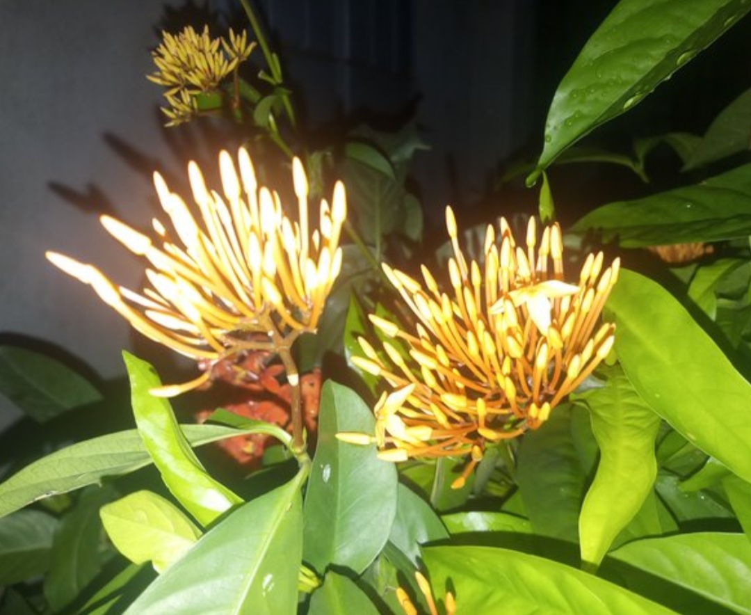 20191230_110005.jpg