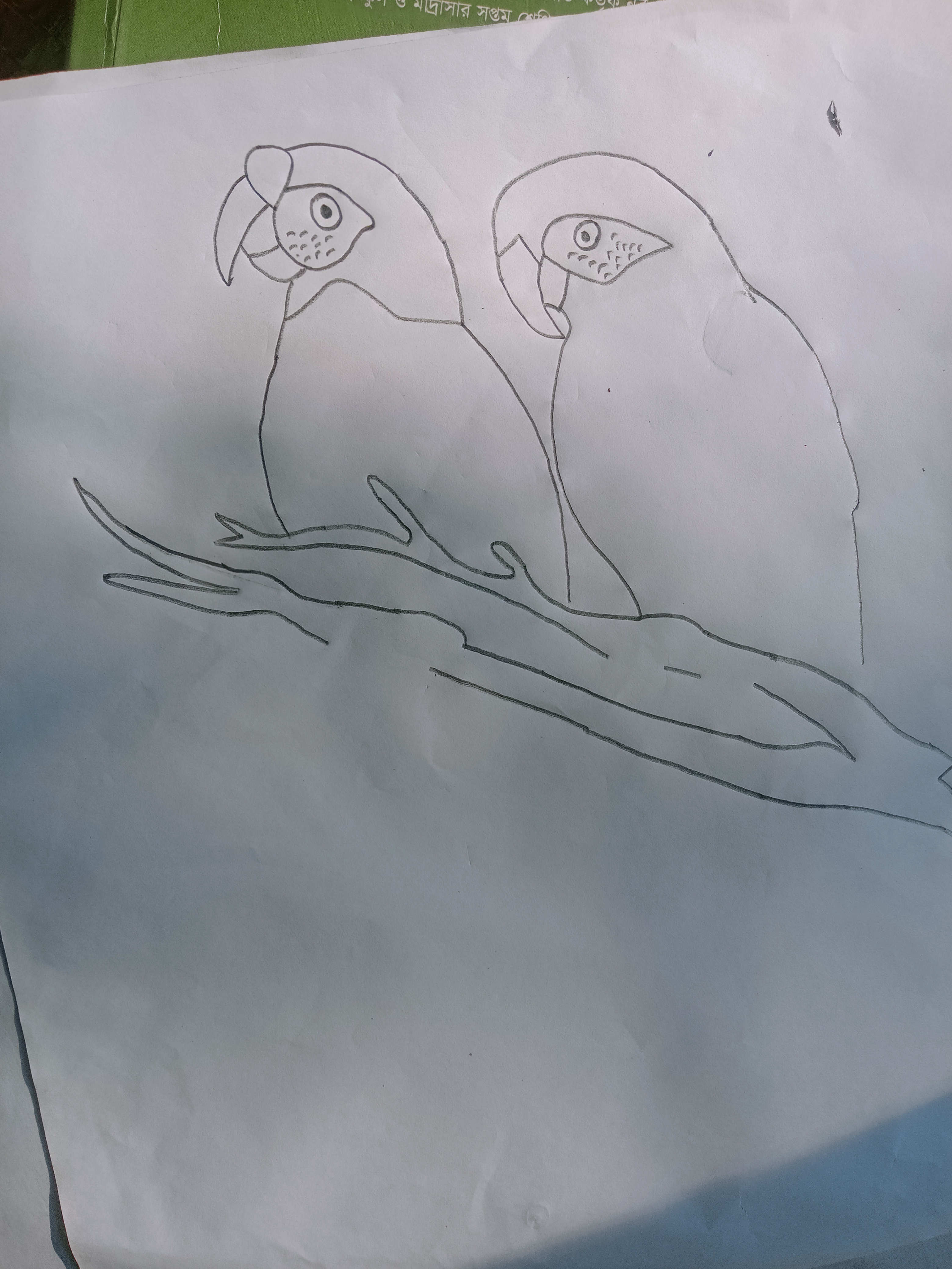 IMG20220201150434.jpg