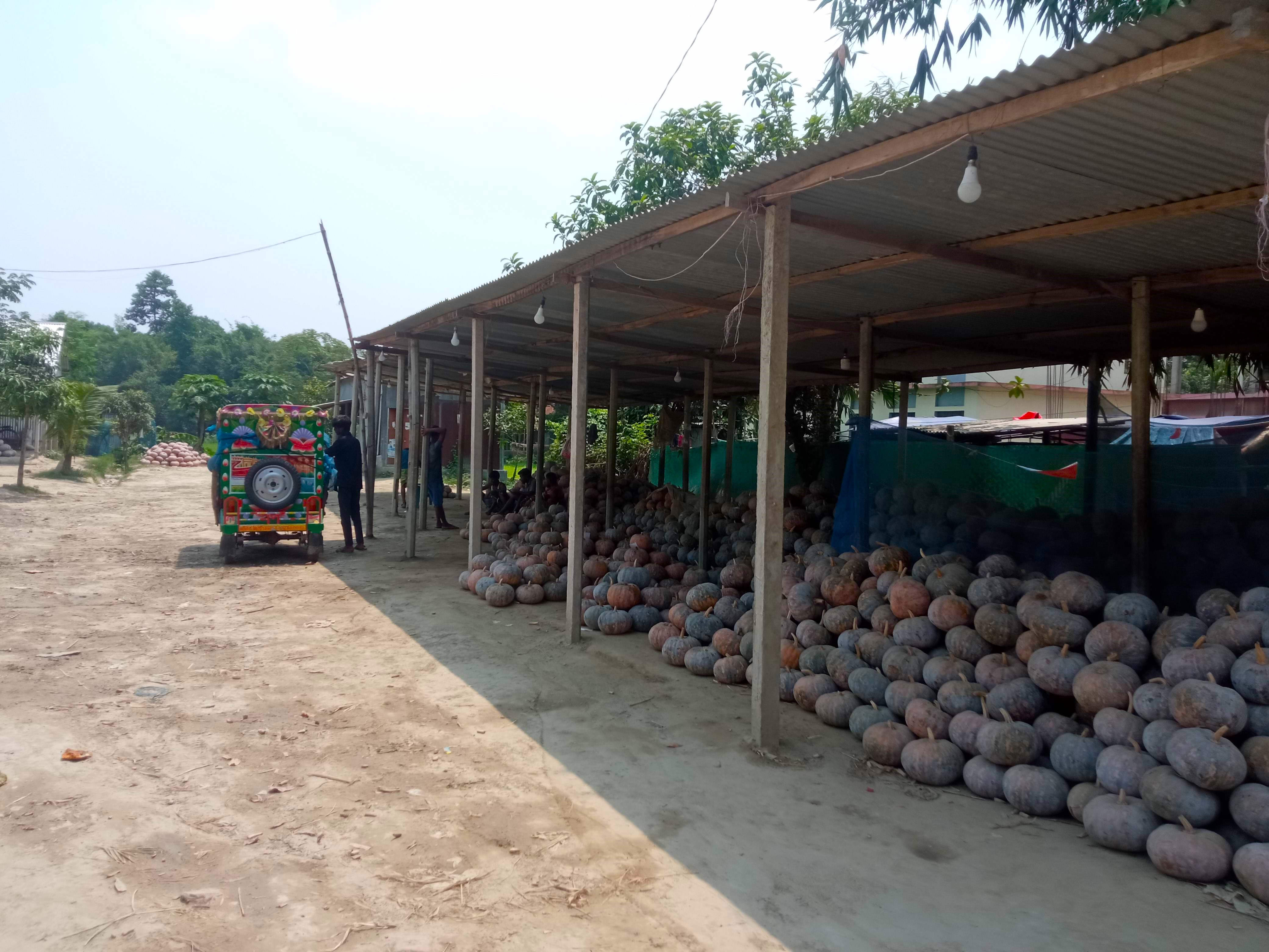 কুমড়া (2).jpg
