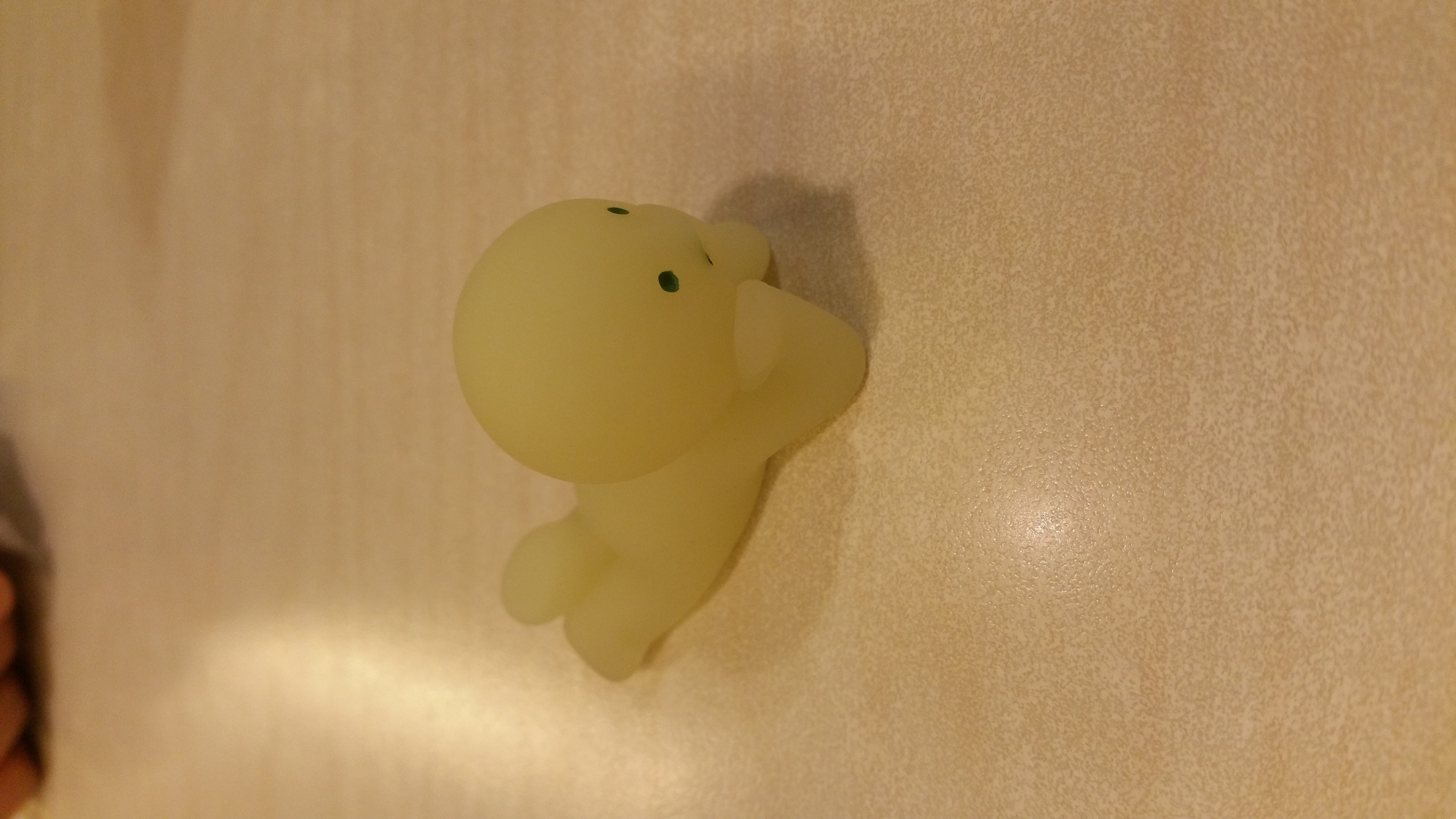 20180522_125308.jpg