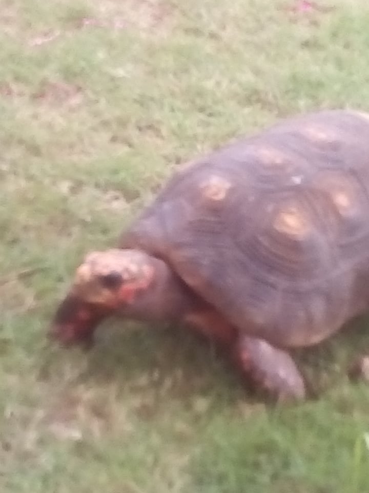 201593020_337813424583731_10427313540031396_n.jpg