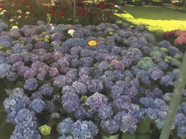 02-05-06_1750.jpg