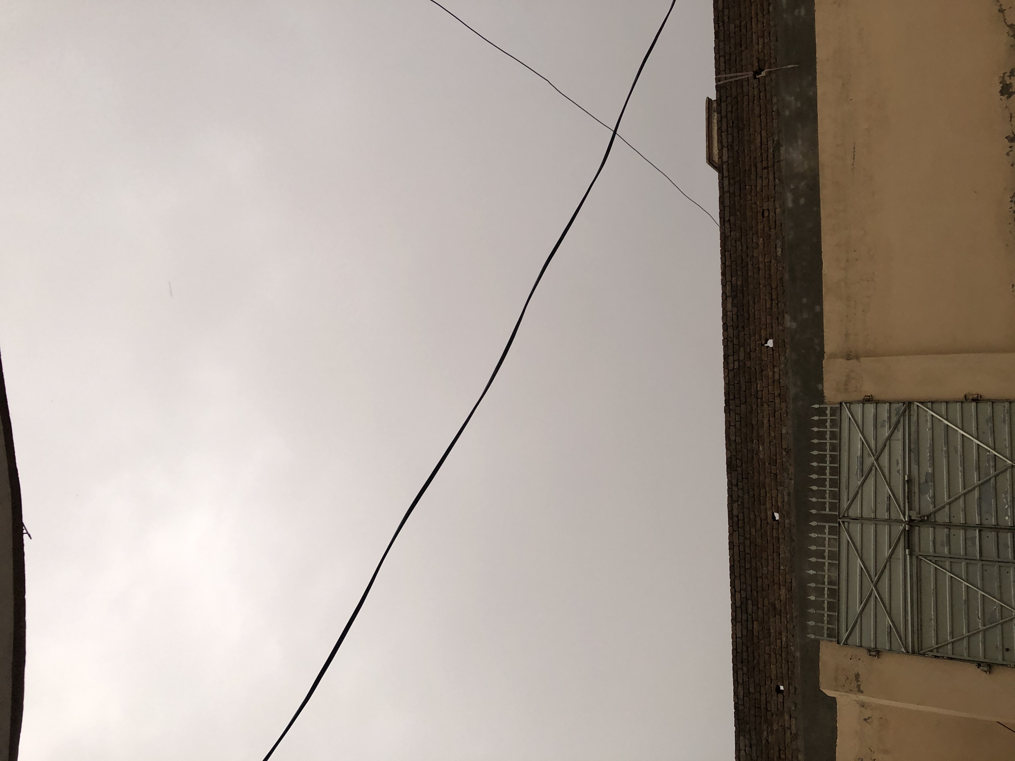 IMG_9424.jpeg