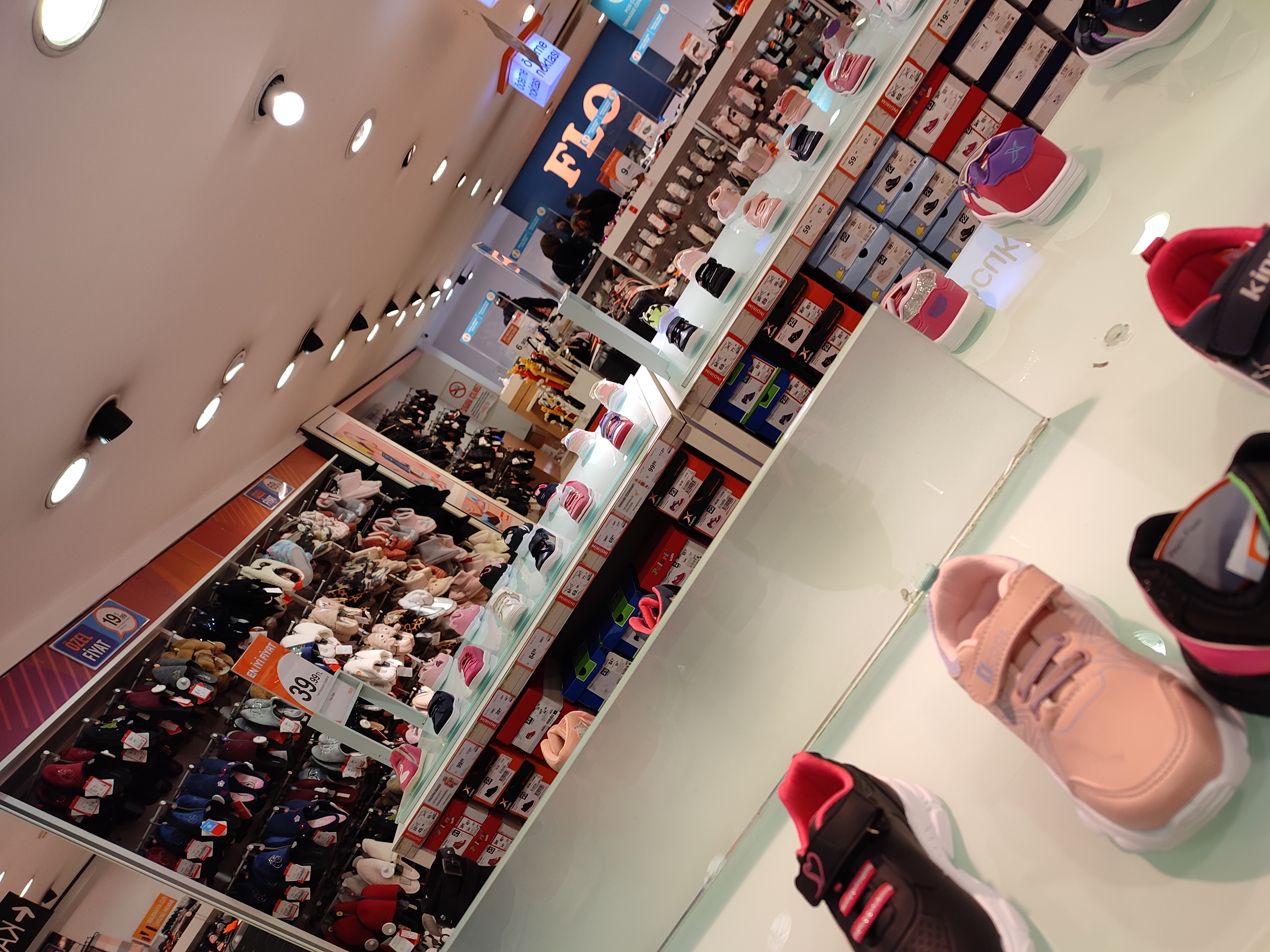IMG_20211020_135048.jpg