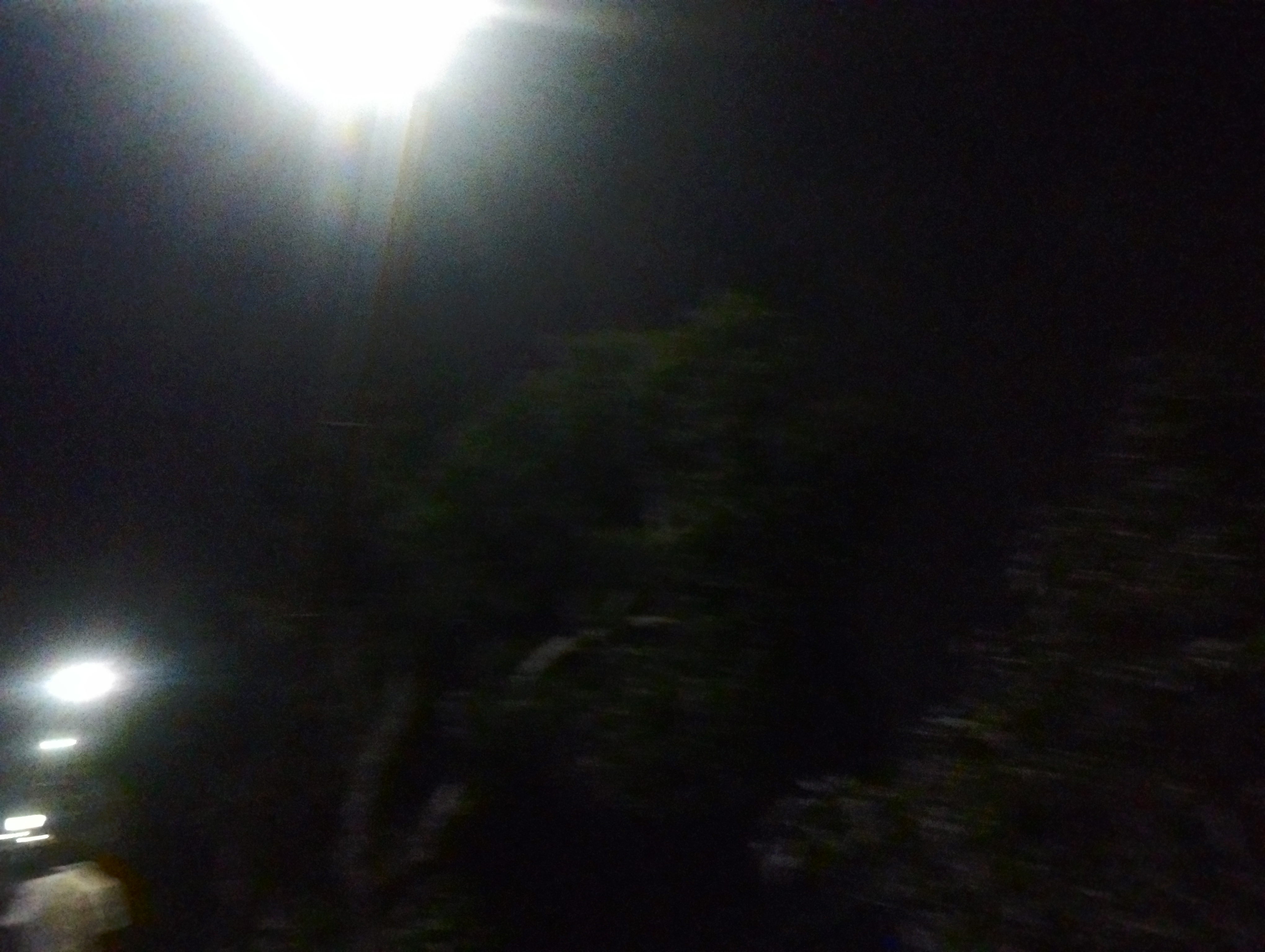 IMG_20251105_181234.jpg