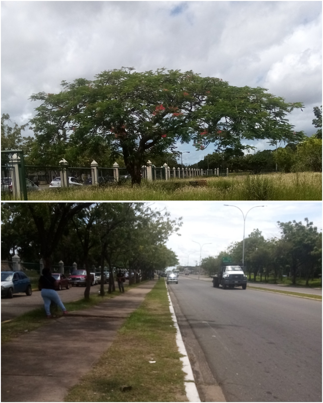 PhotoCollage_1626471905132.jpg