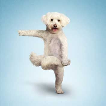 Tree-Pose-Variation.jpg