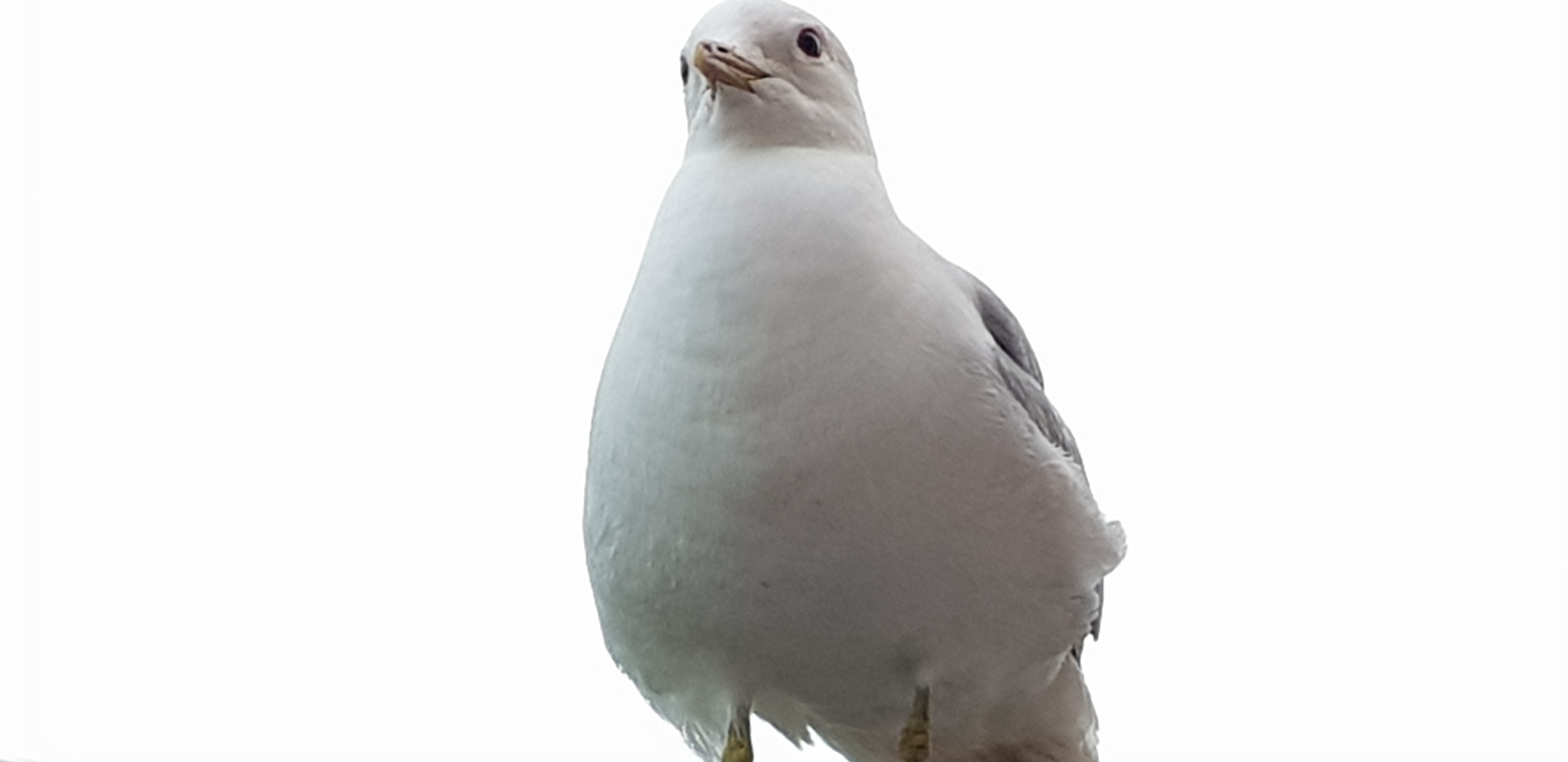 20180626_200343.jpg