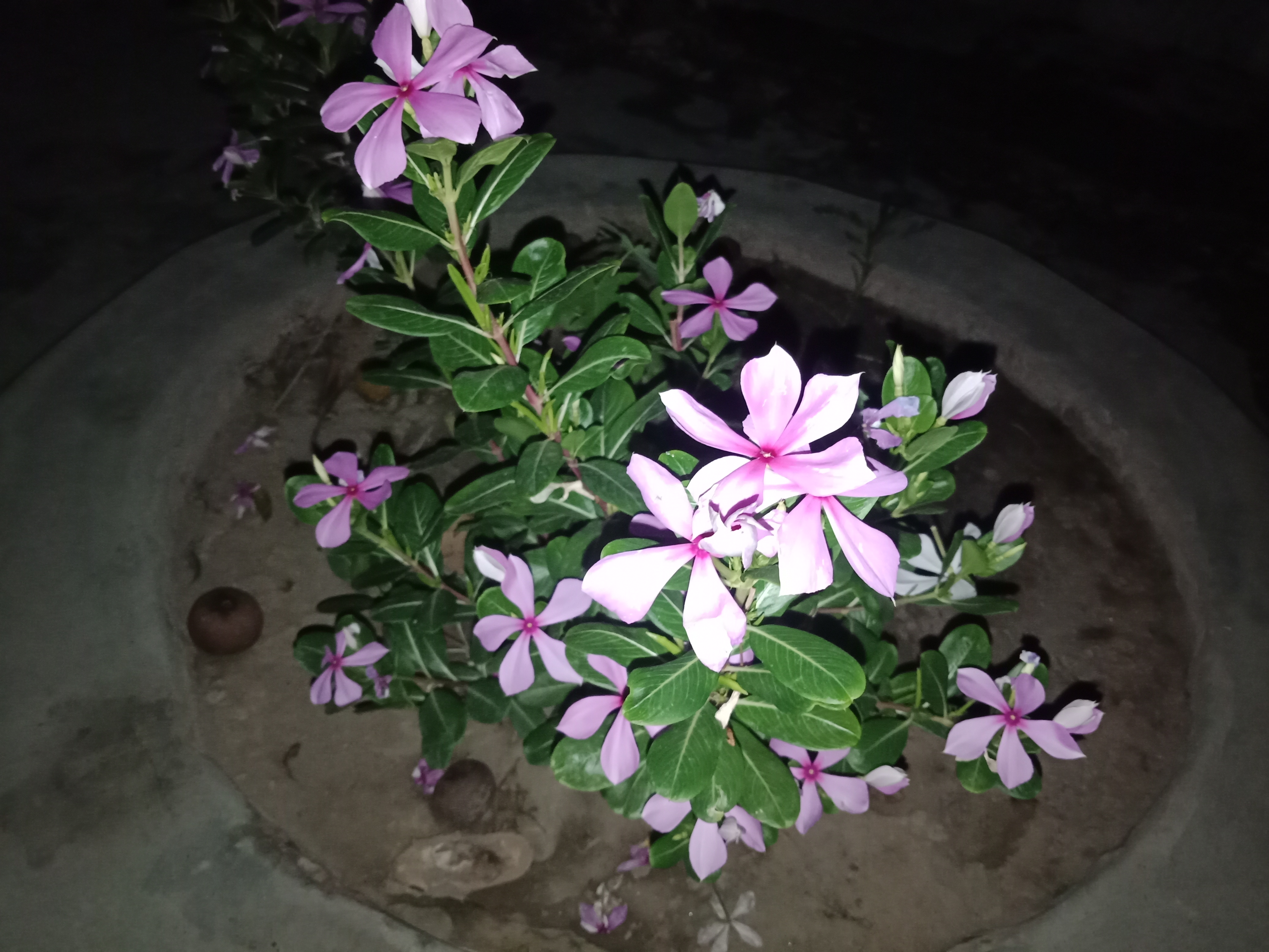 IMG20210910211227.jpg