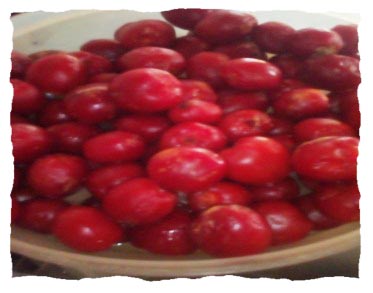 salsa ciruela 2.jpg