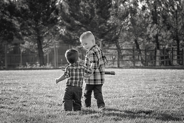 cousins-2491047_640.jpg