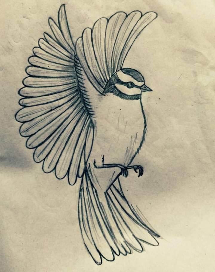 WhatsApp Image 2022-10-24 at 8.12.21 AM (1).jpeg