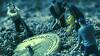 bitcoin-mining-gID_5.jpg