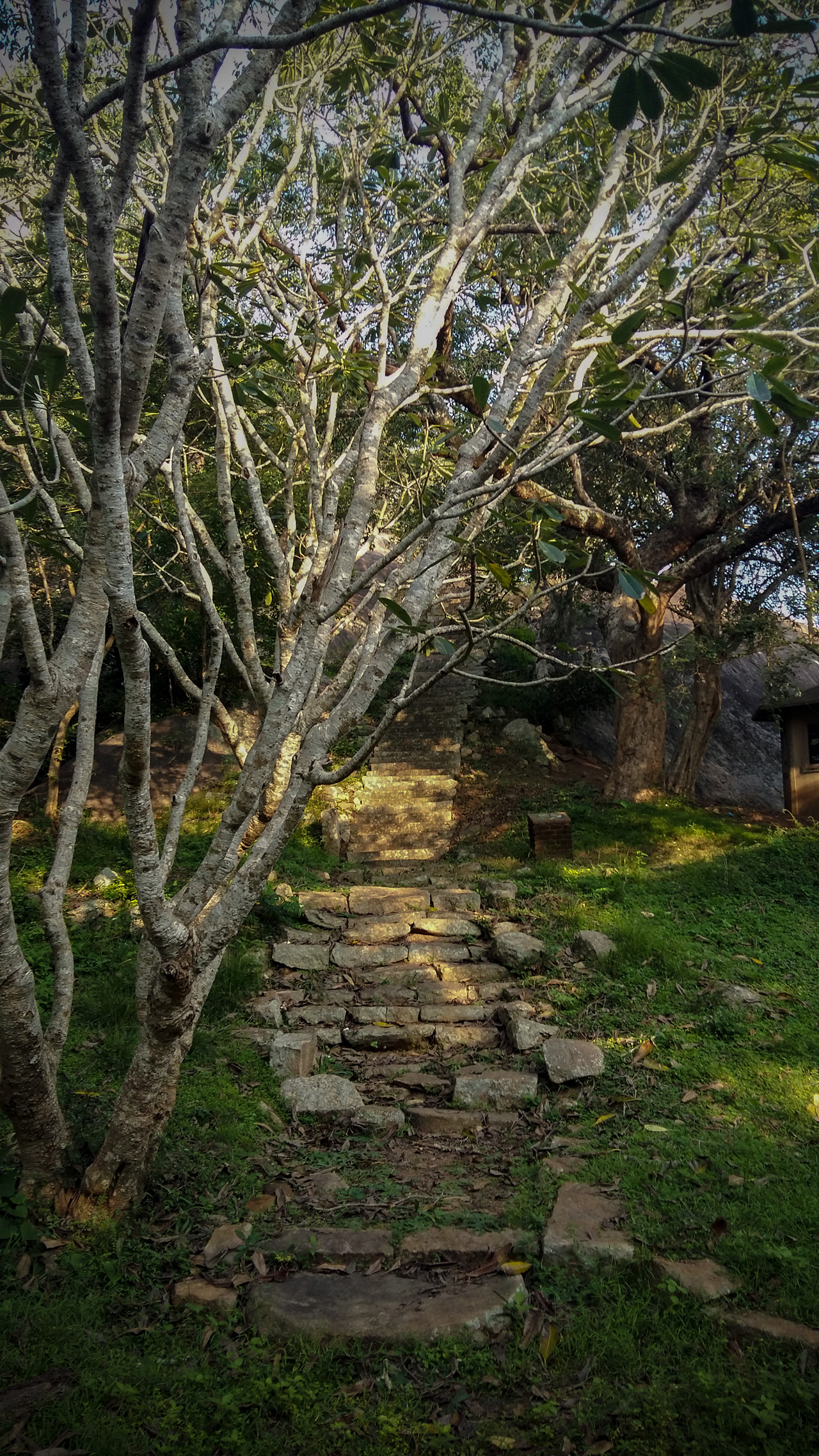 20171208_162120.jpg