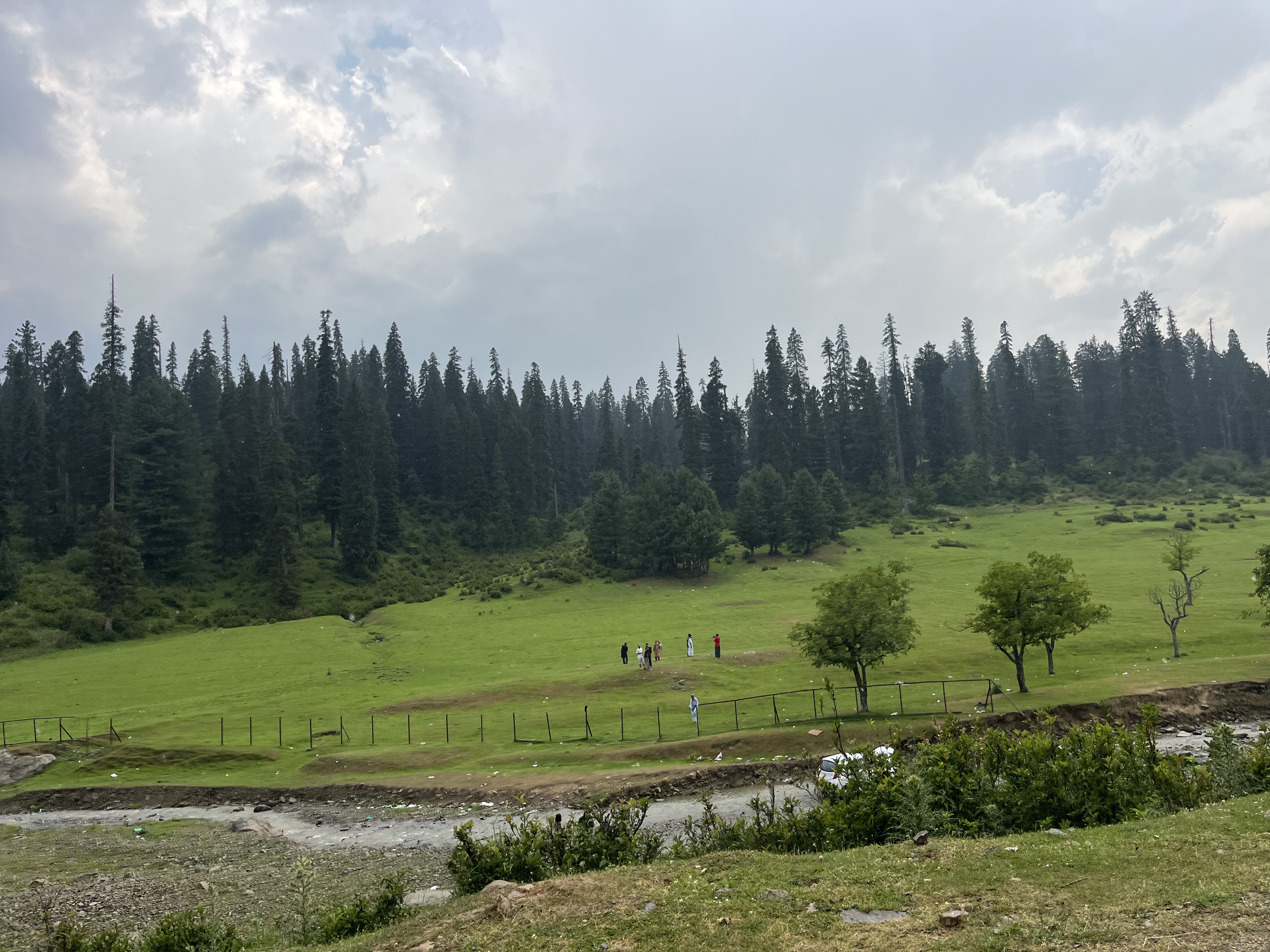 IMG_1079.jpeg