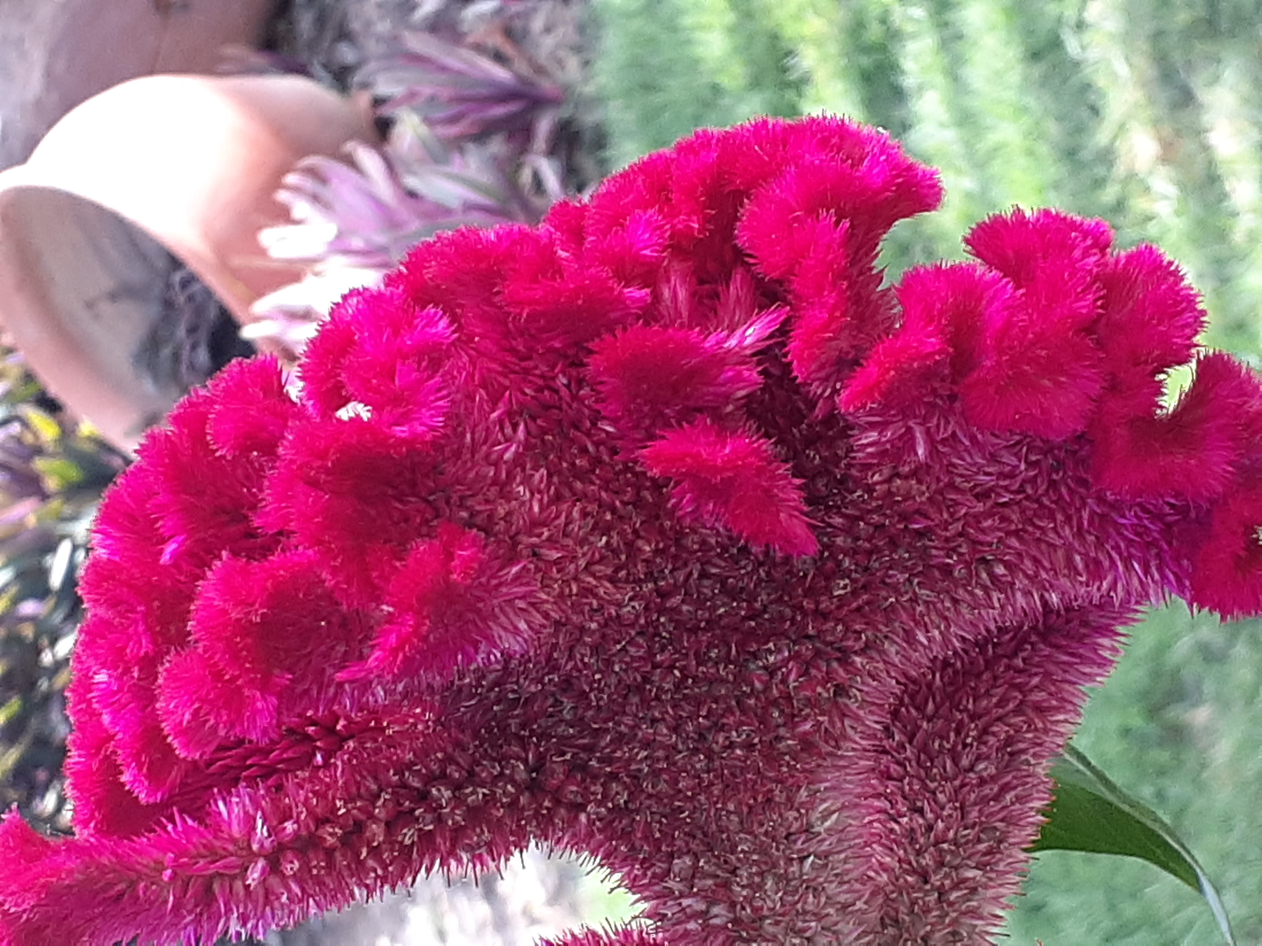 20210511_160603.jpg