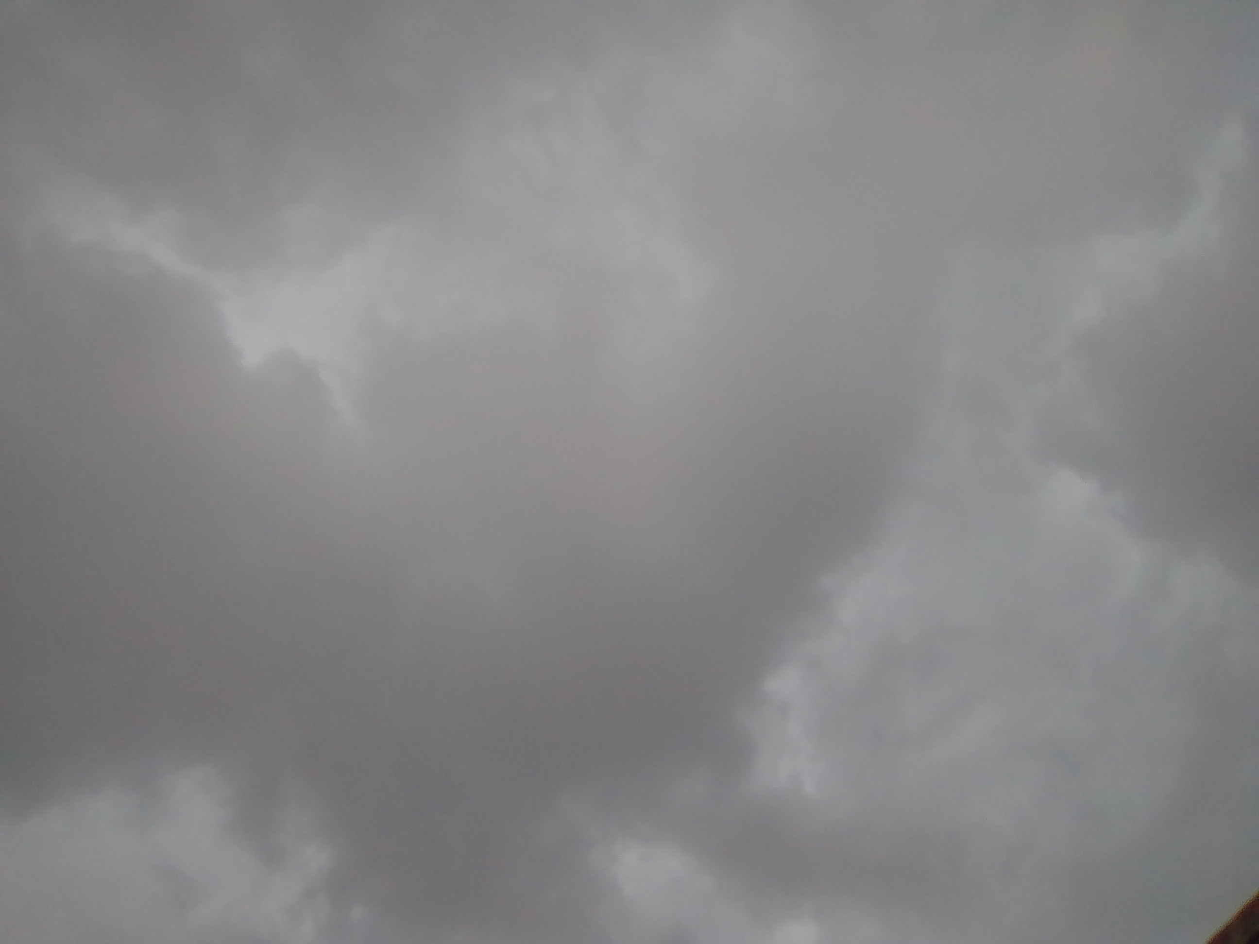 IMG_20210520_162651.jpg
