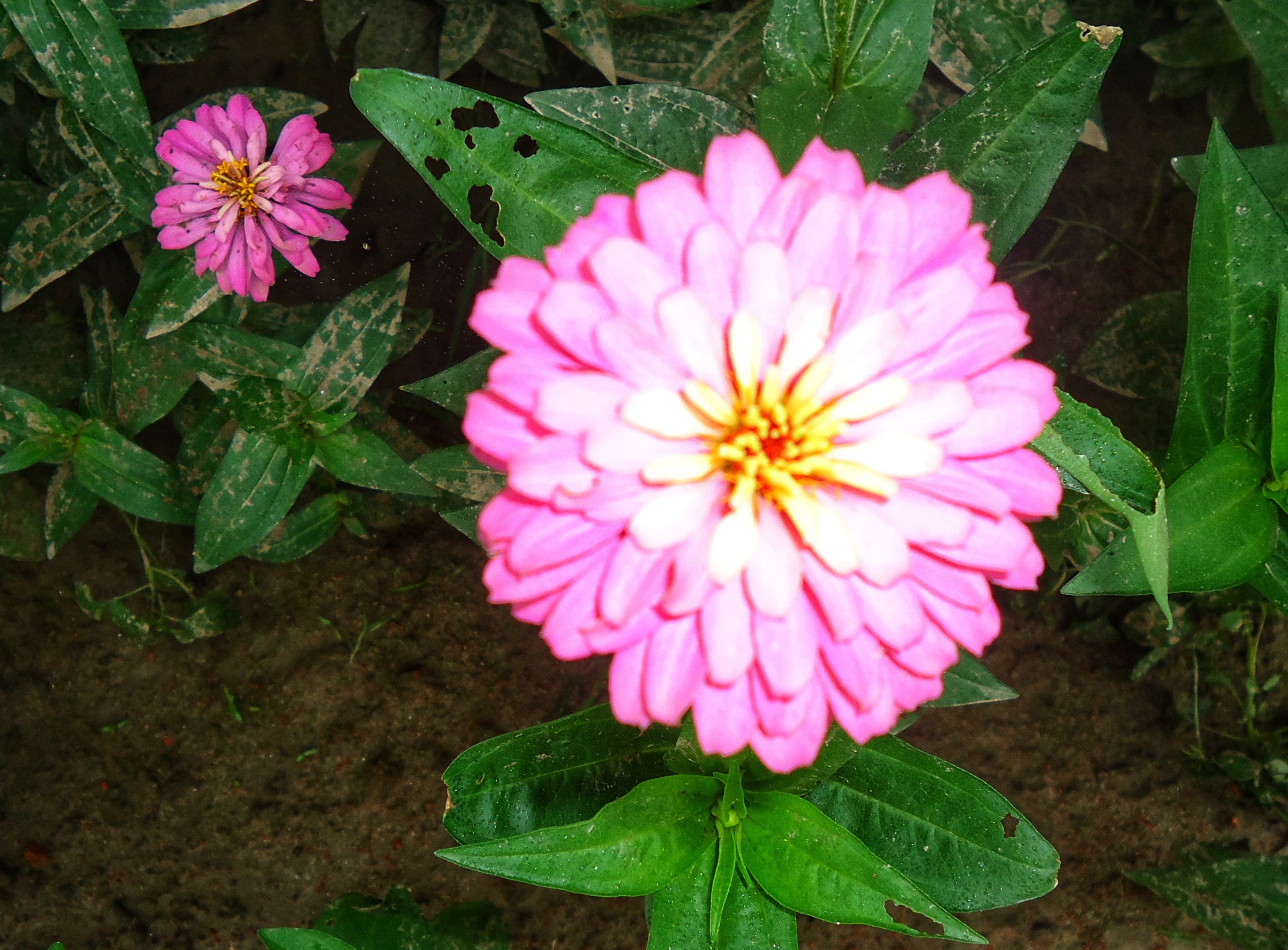 DSC07730-01.jpeg