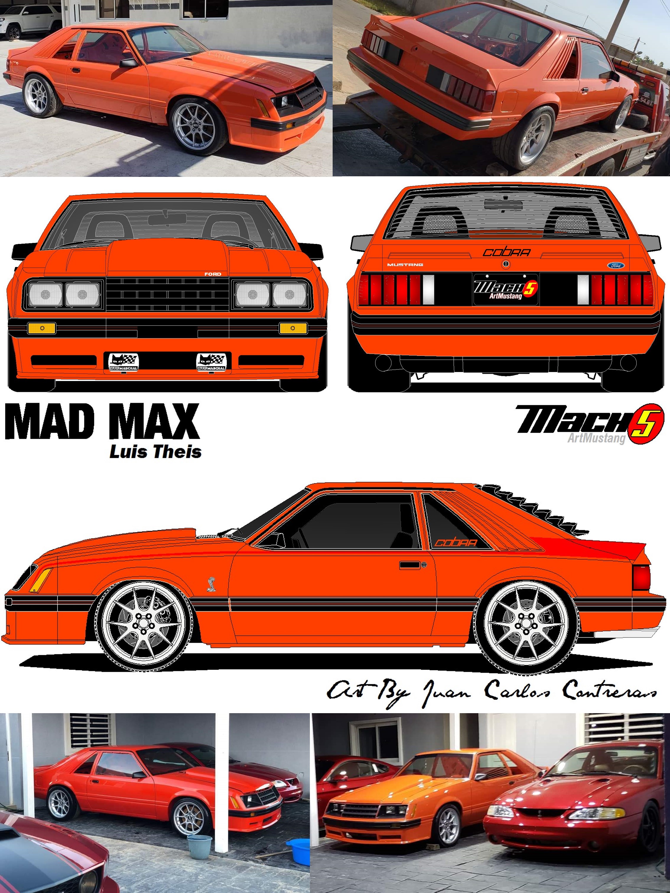 LUIS THEIS COBRA 81.jpg