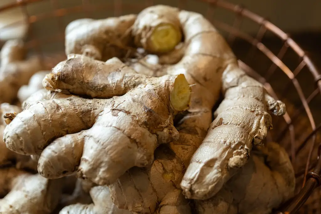 GingerIngredient003.webp