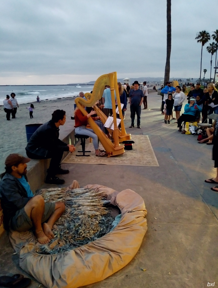 Ocean Beach Sage and harps street bxlphabet.jpg