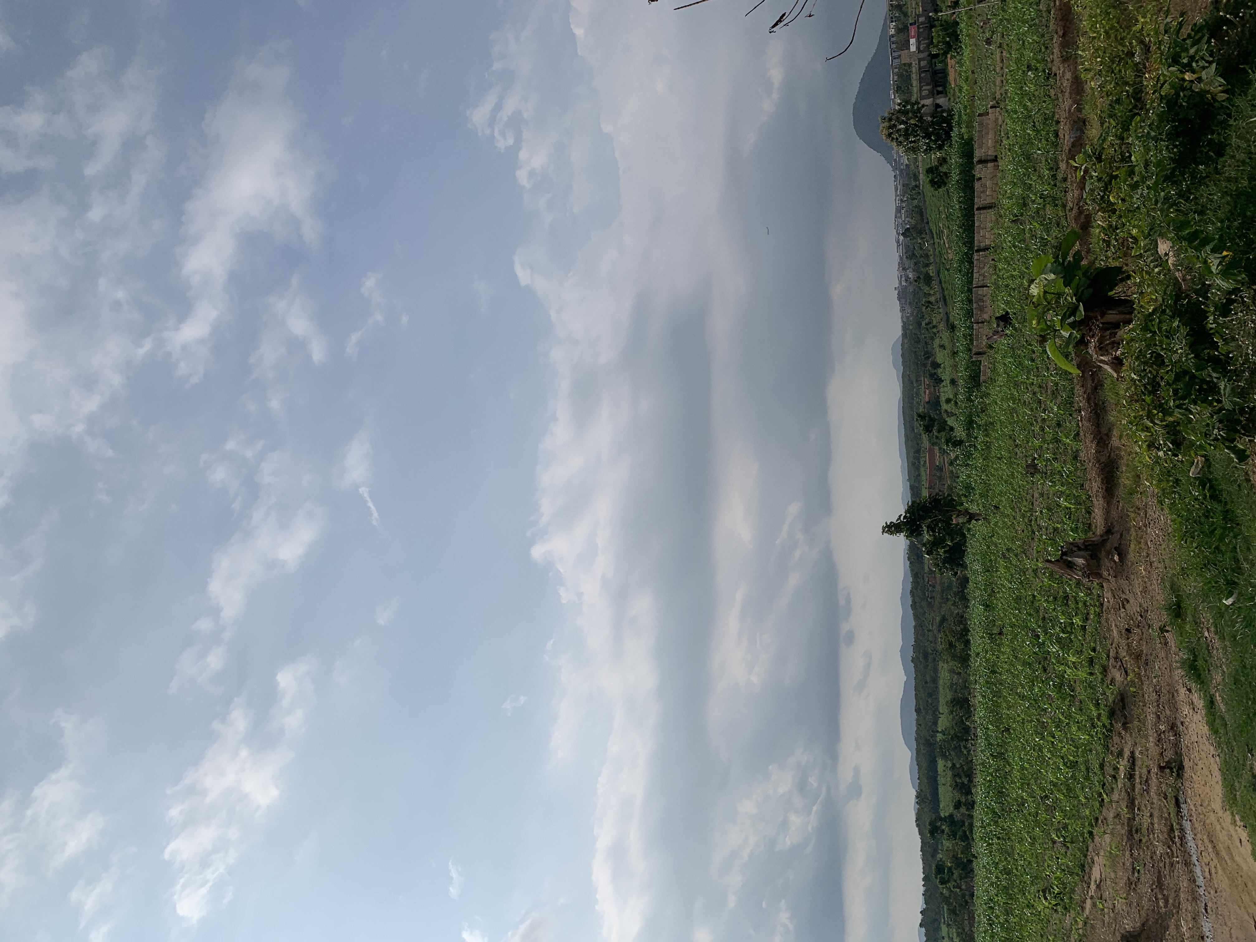 IMG_0990.jpeg