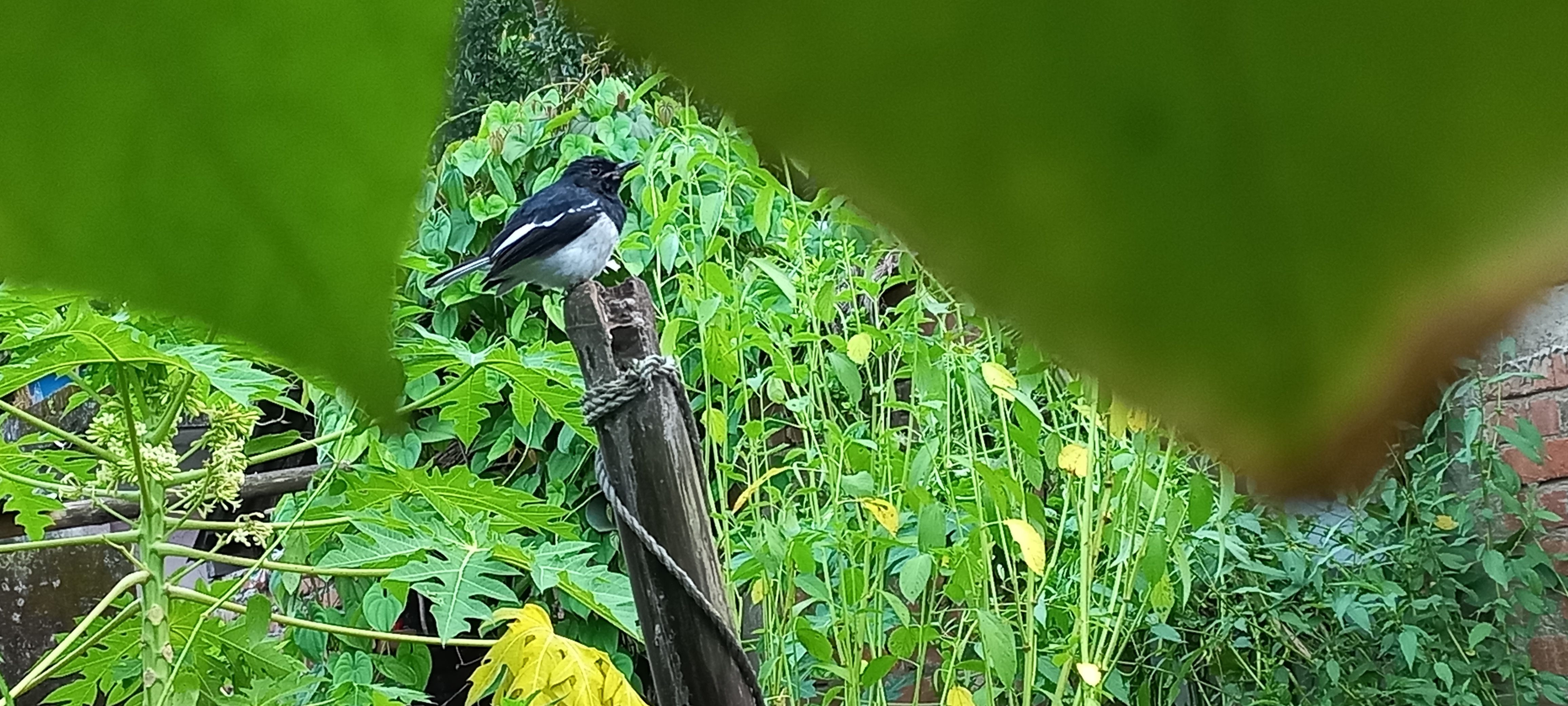 20220921_173700.jpg