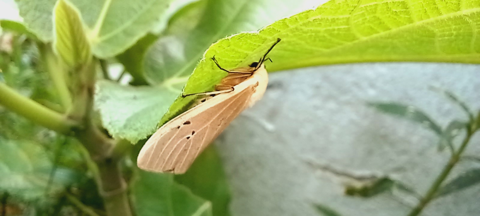 20250718_152800.jpg