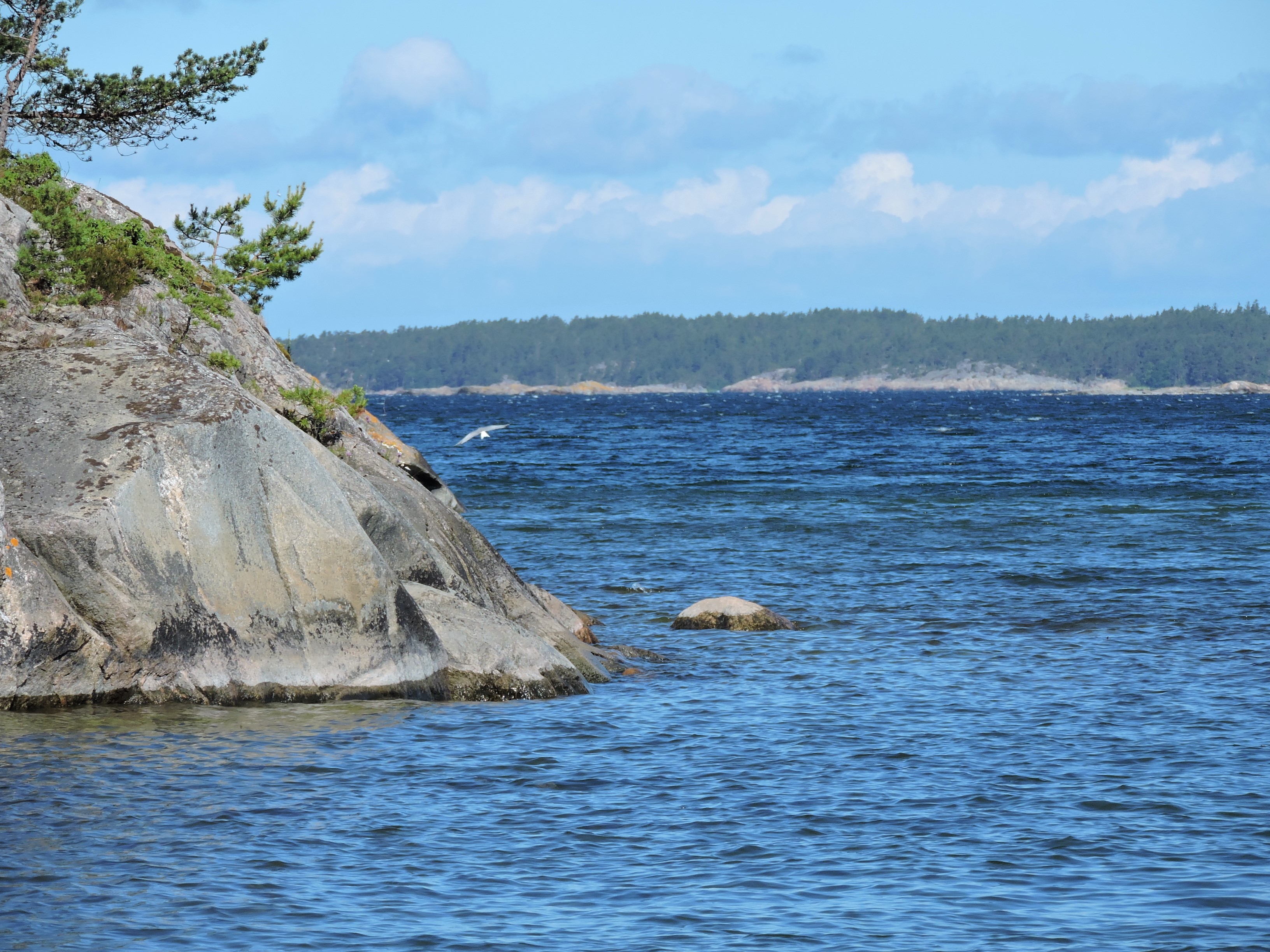 DSCN4972.JPG