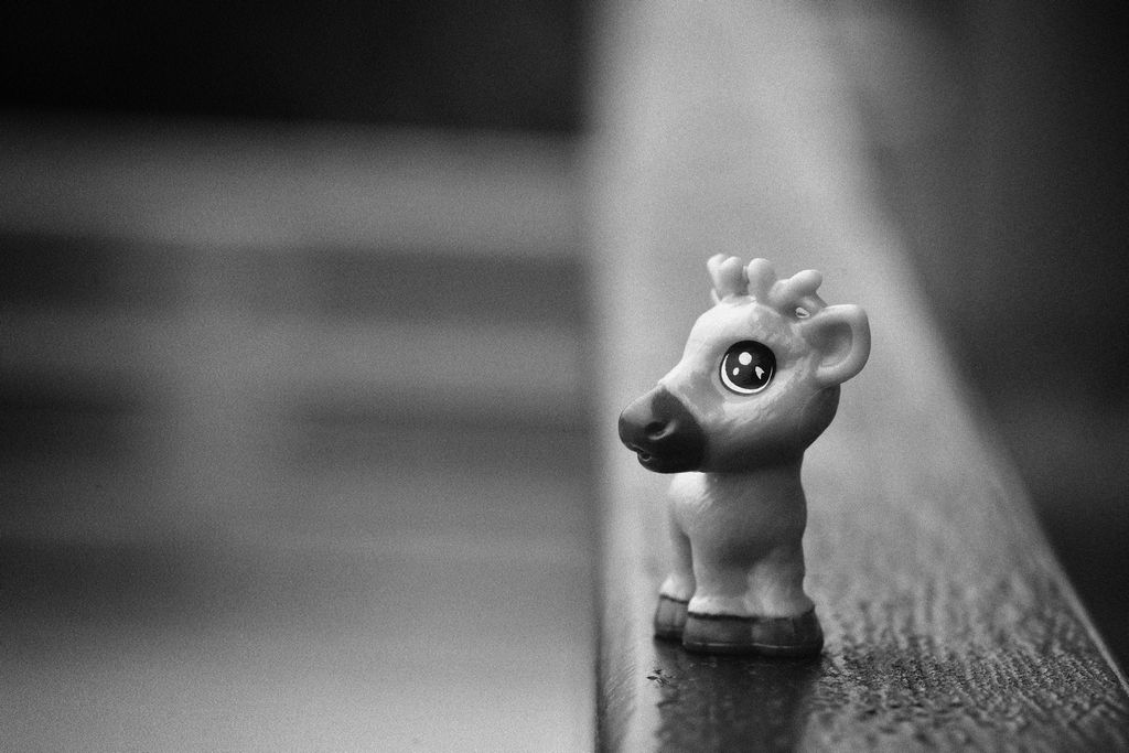 timg (4).jpg