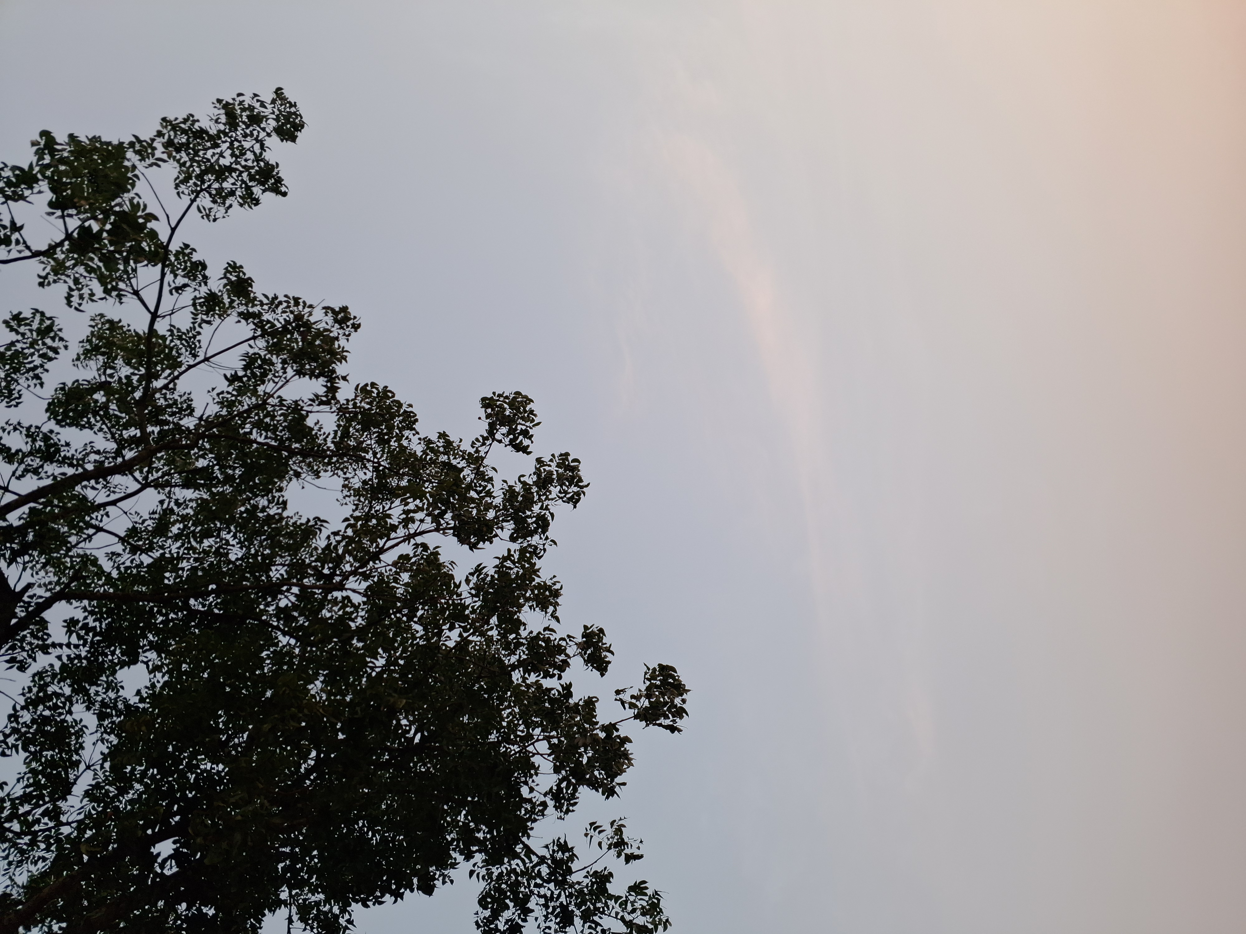 1000273950.jpg