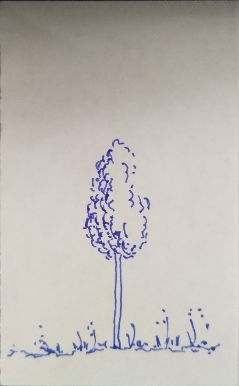 tree01.jpg