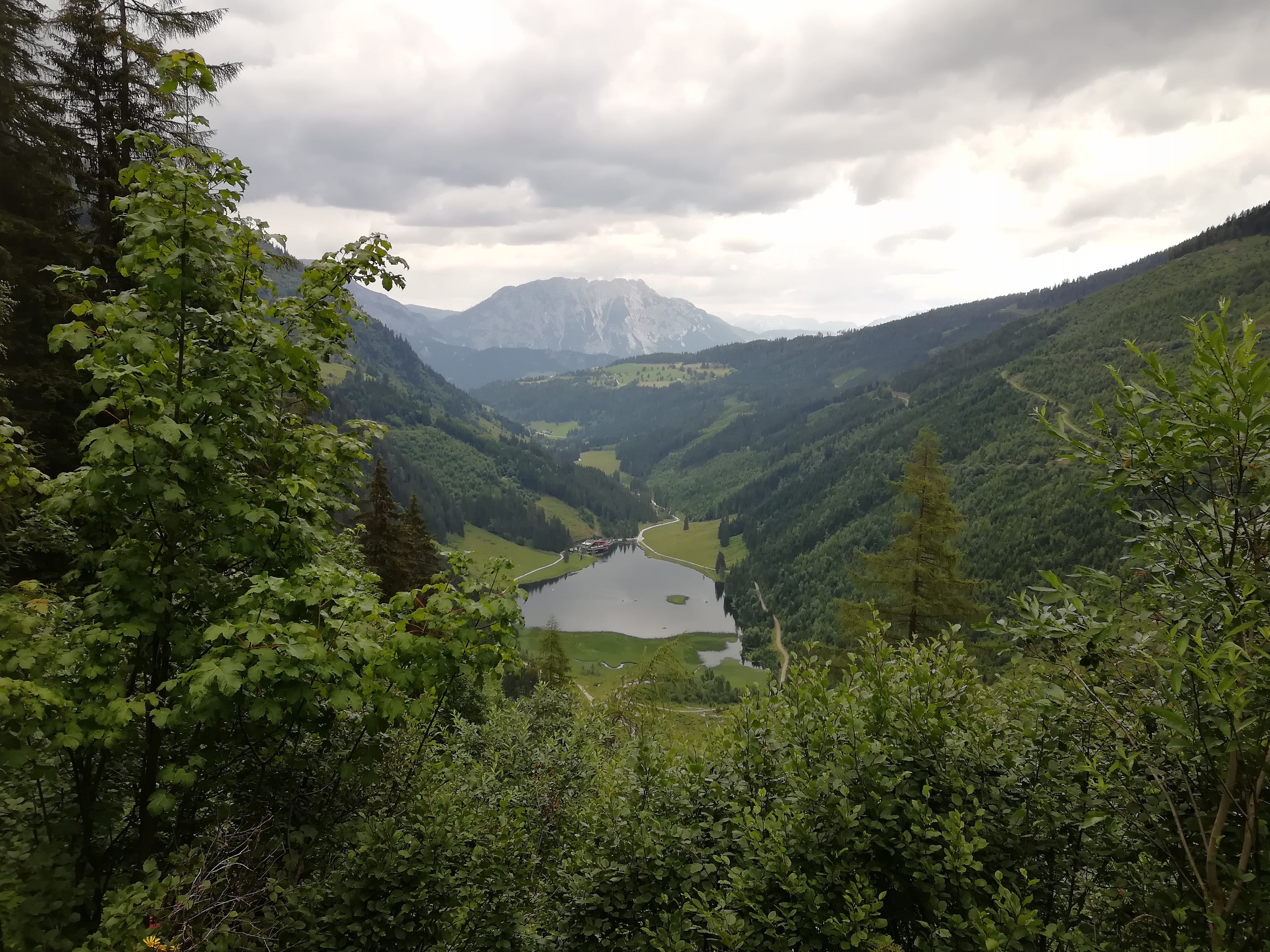 IMG_20180708_115104.jpg