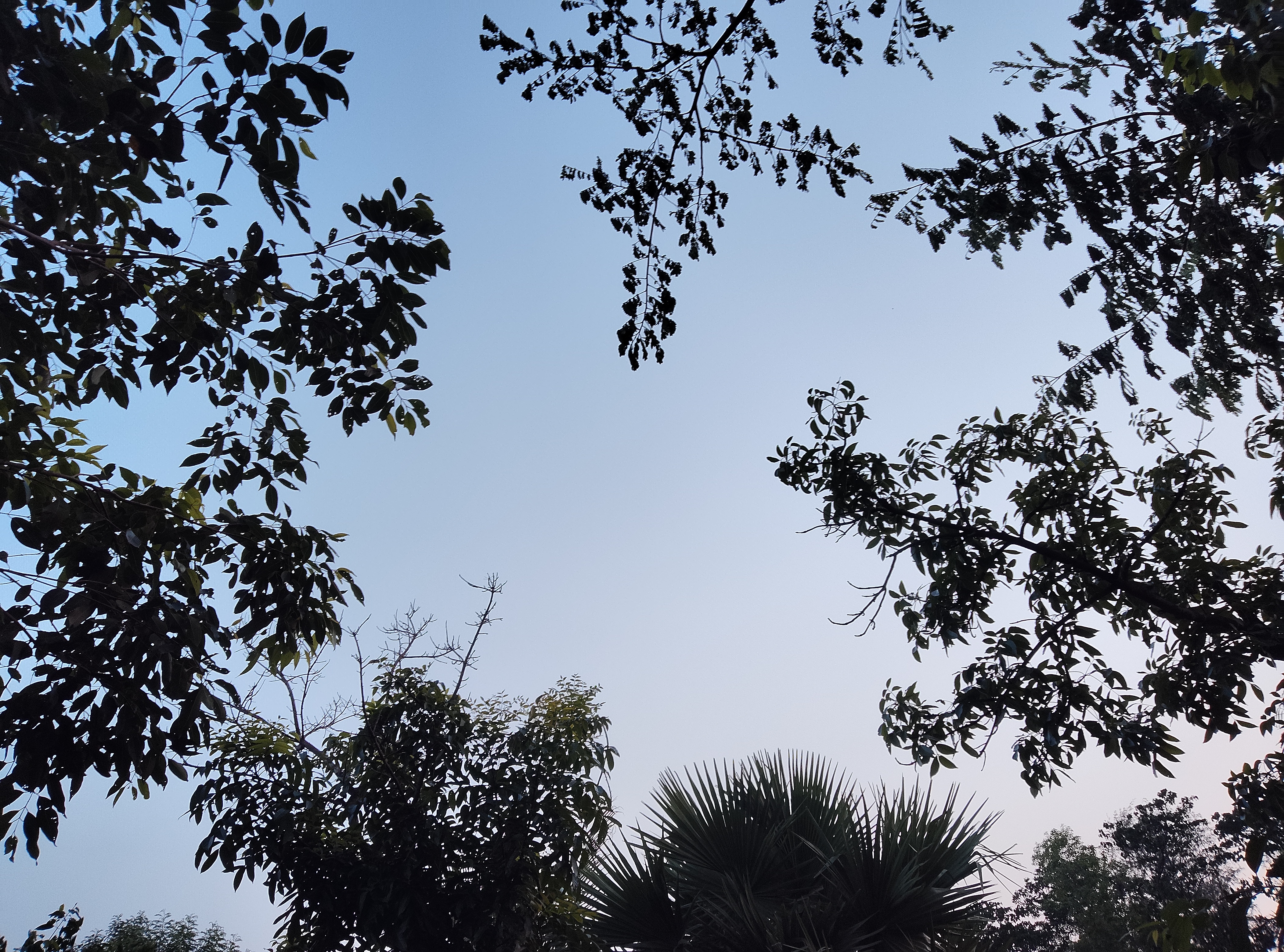 IMG_20260604_181453.jpg