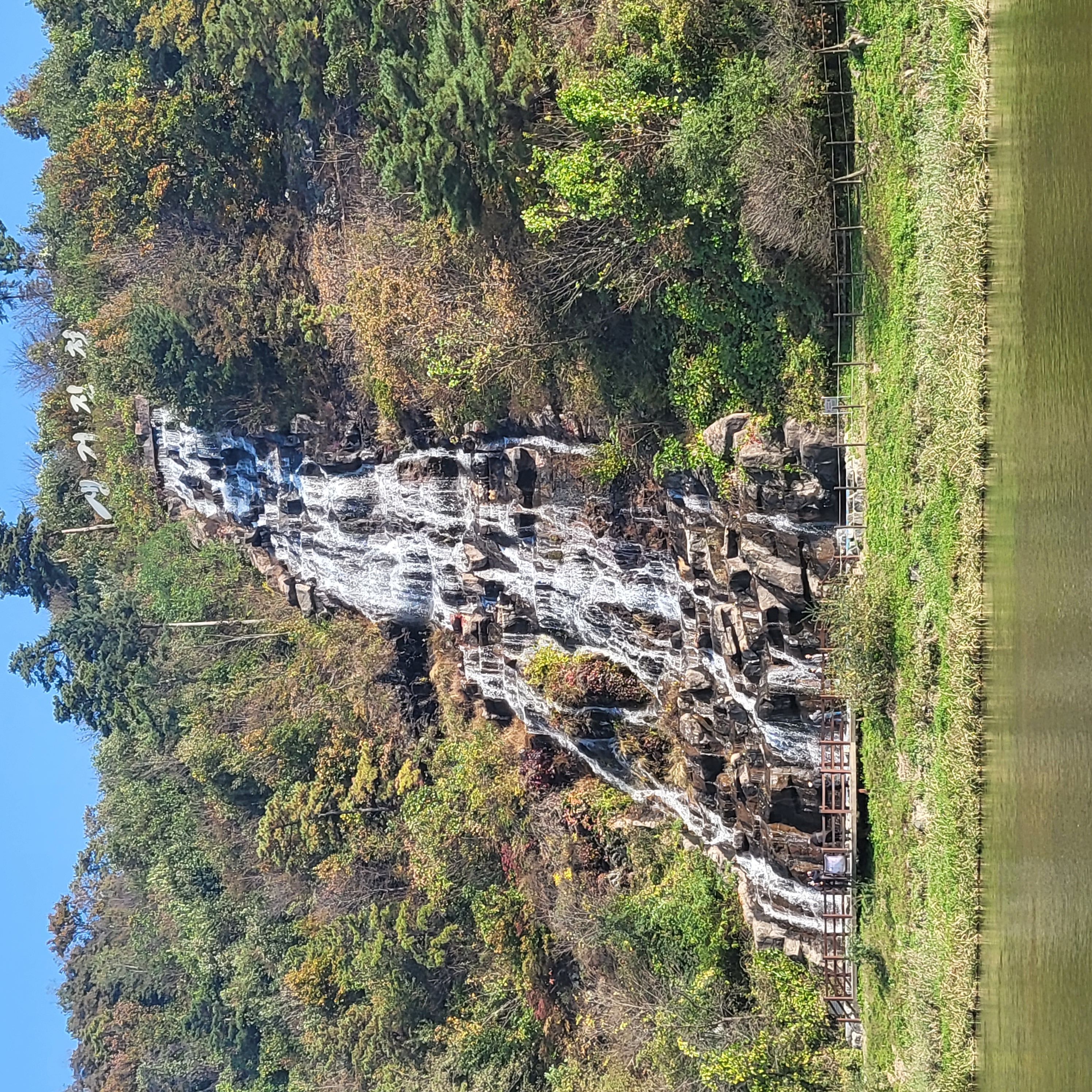 20221022_141445.jpg