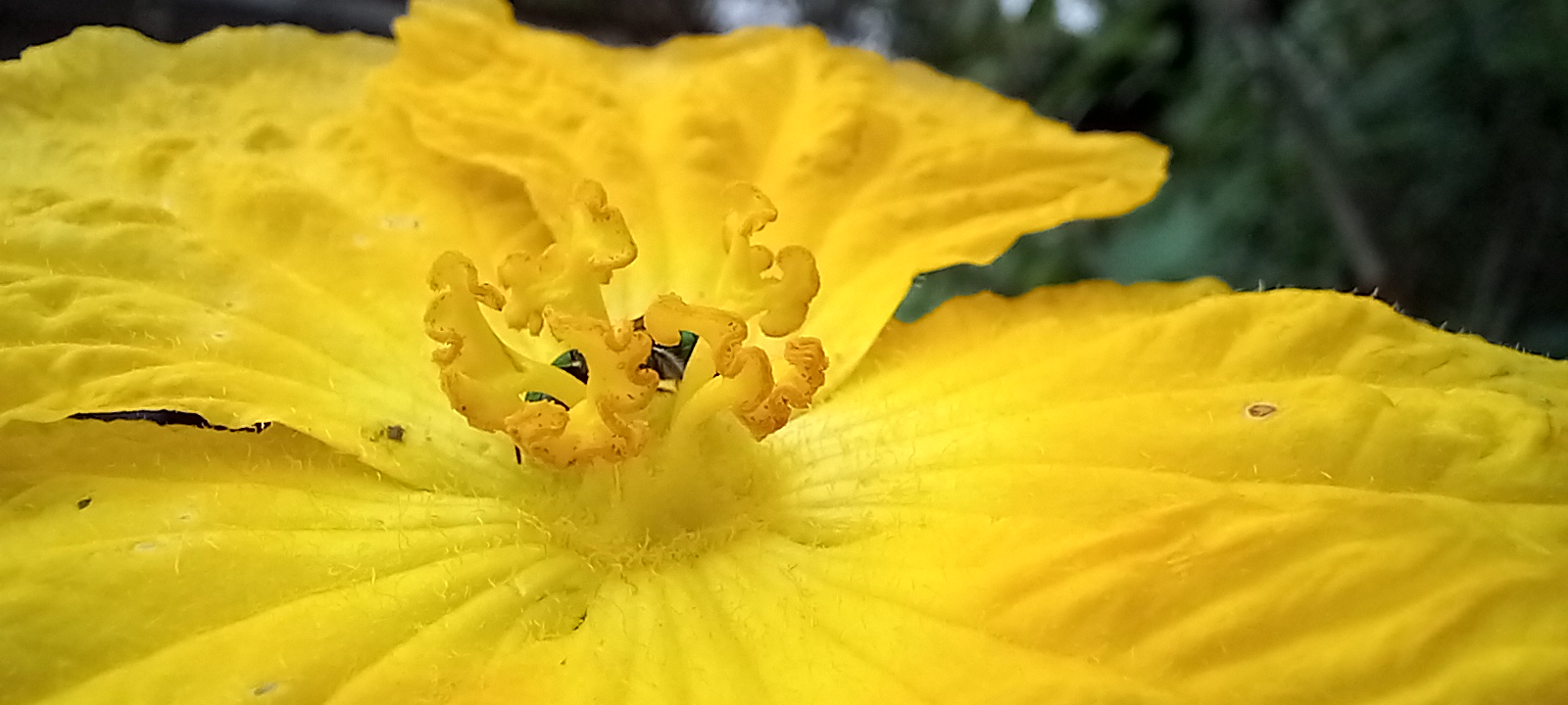 20220828_101557.jpg