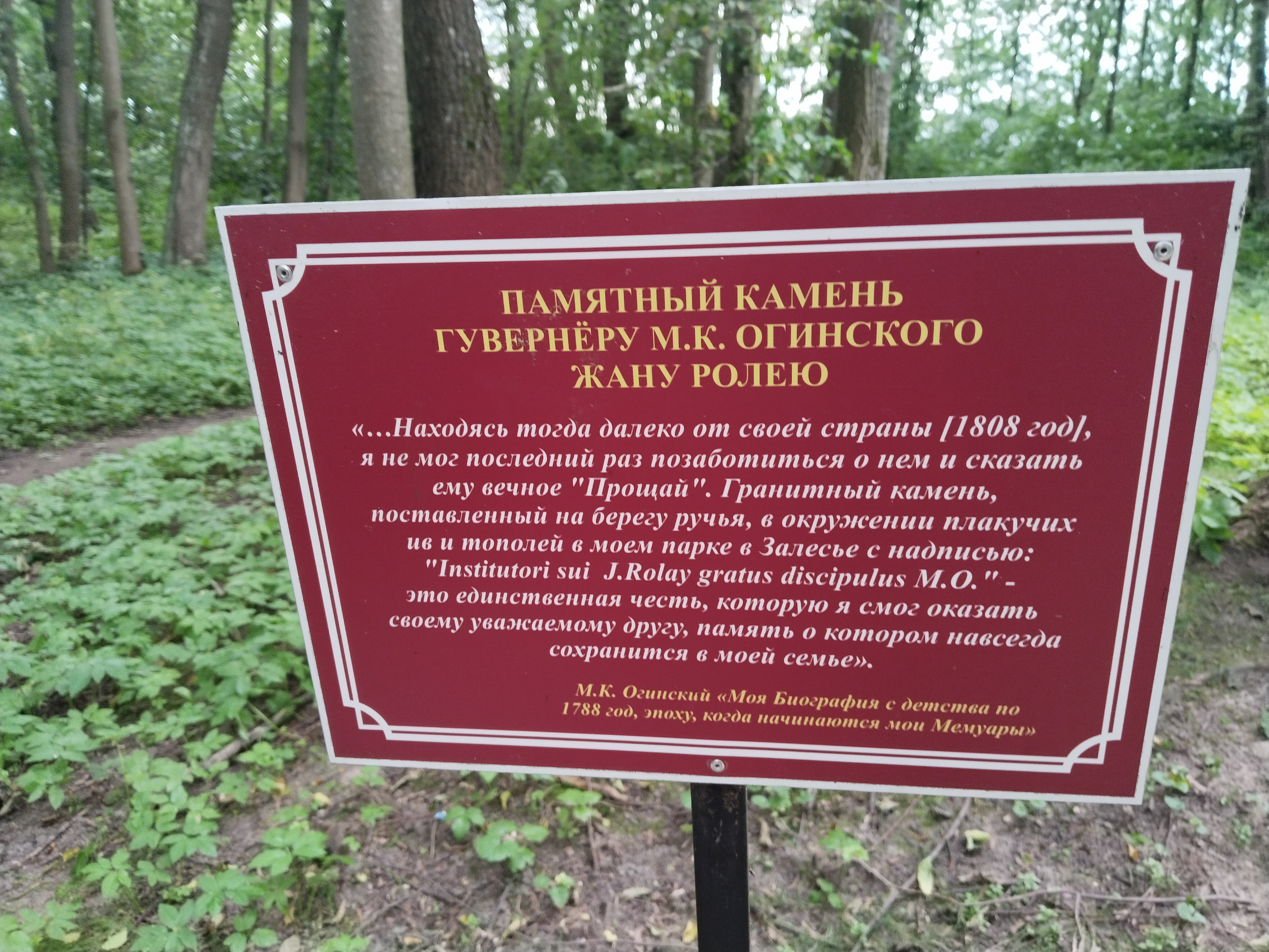 IMG_20250706_172544.jpg
