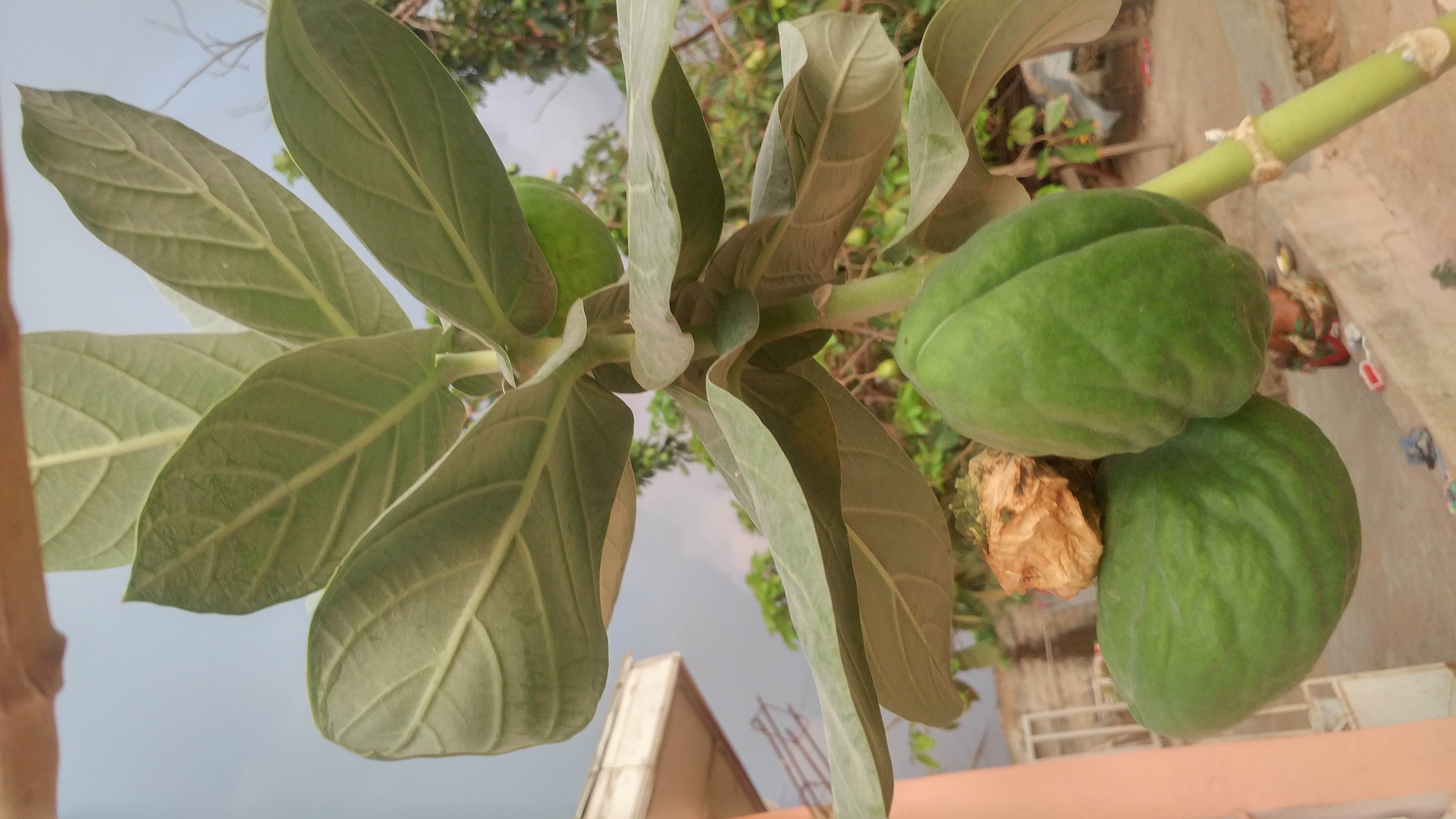 0228181807_HDR.jpg