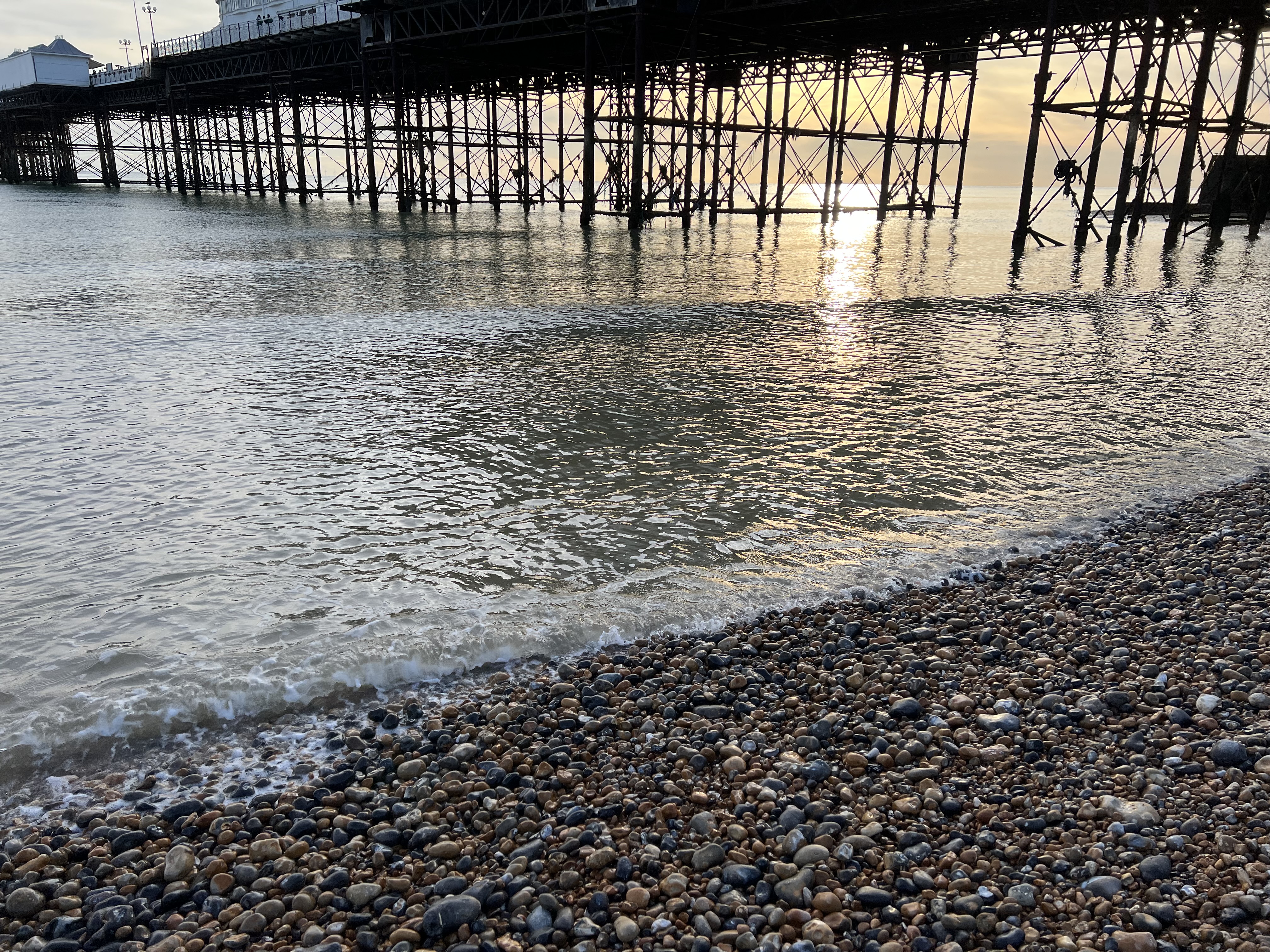 IMG_8528.jpeg