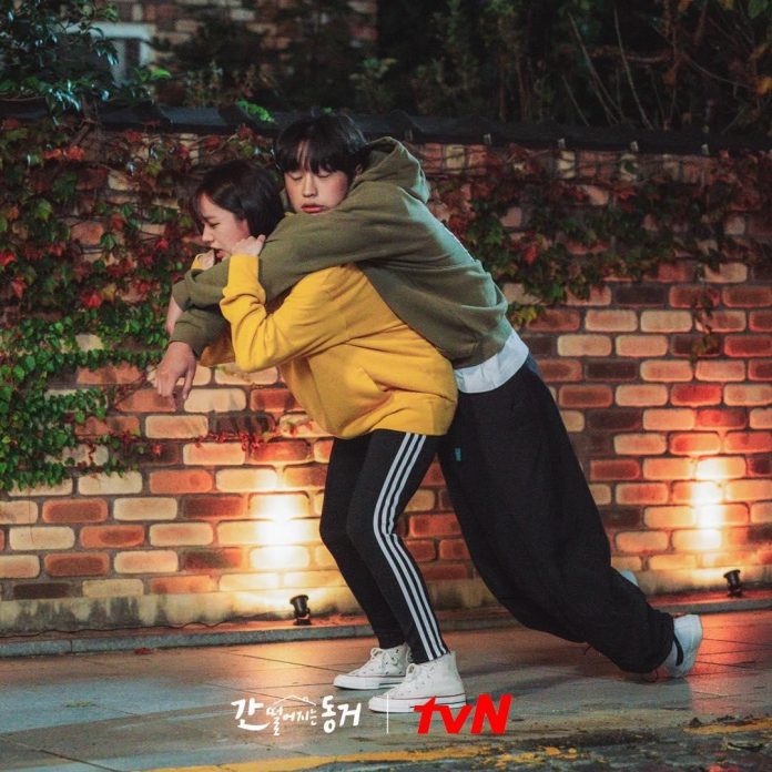 foto-5-gumiho-696x696.jpg