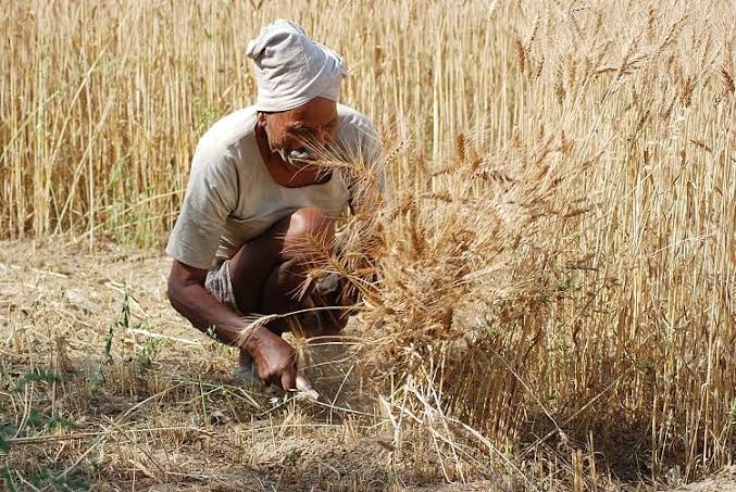 images (8) (10).jpeg