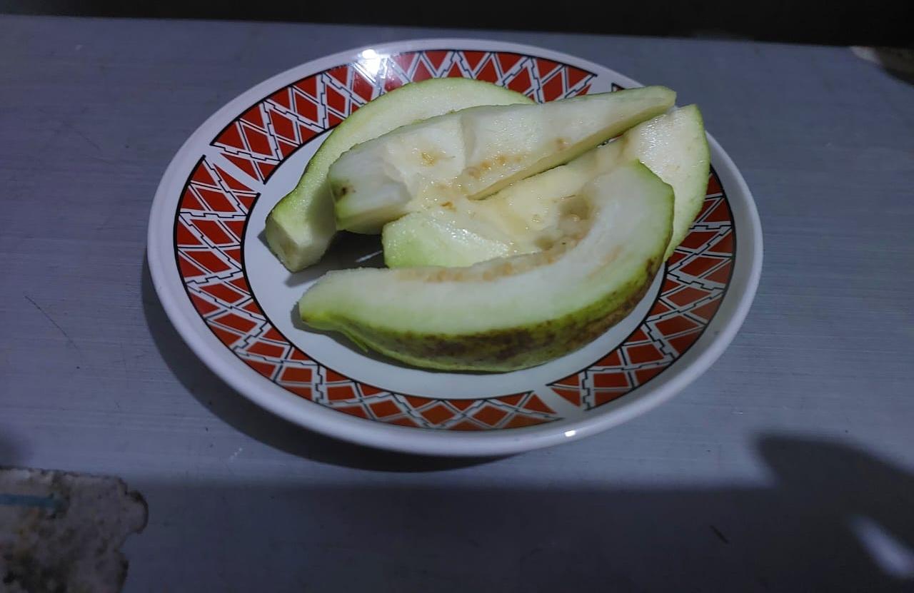 1001296345.jpg