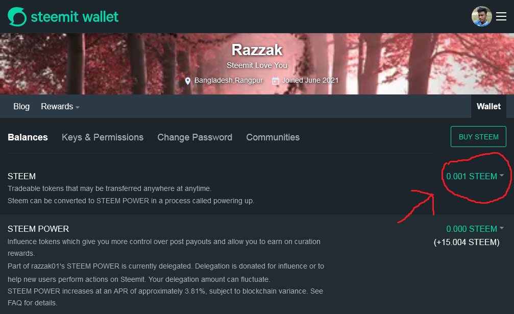 Screenshot 2021-06-05 at 22-39-04 razzak01.png