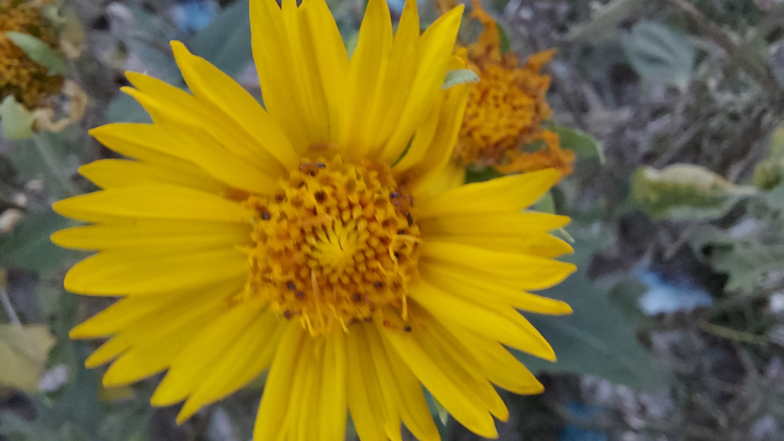 20210927_175725.jpg