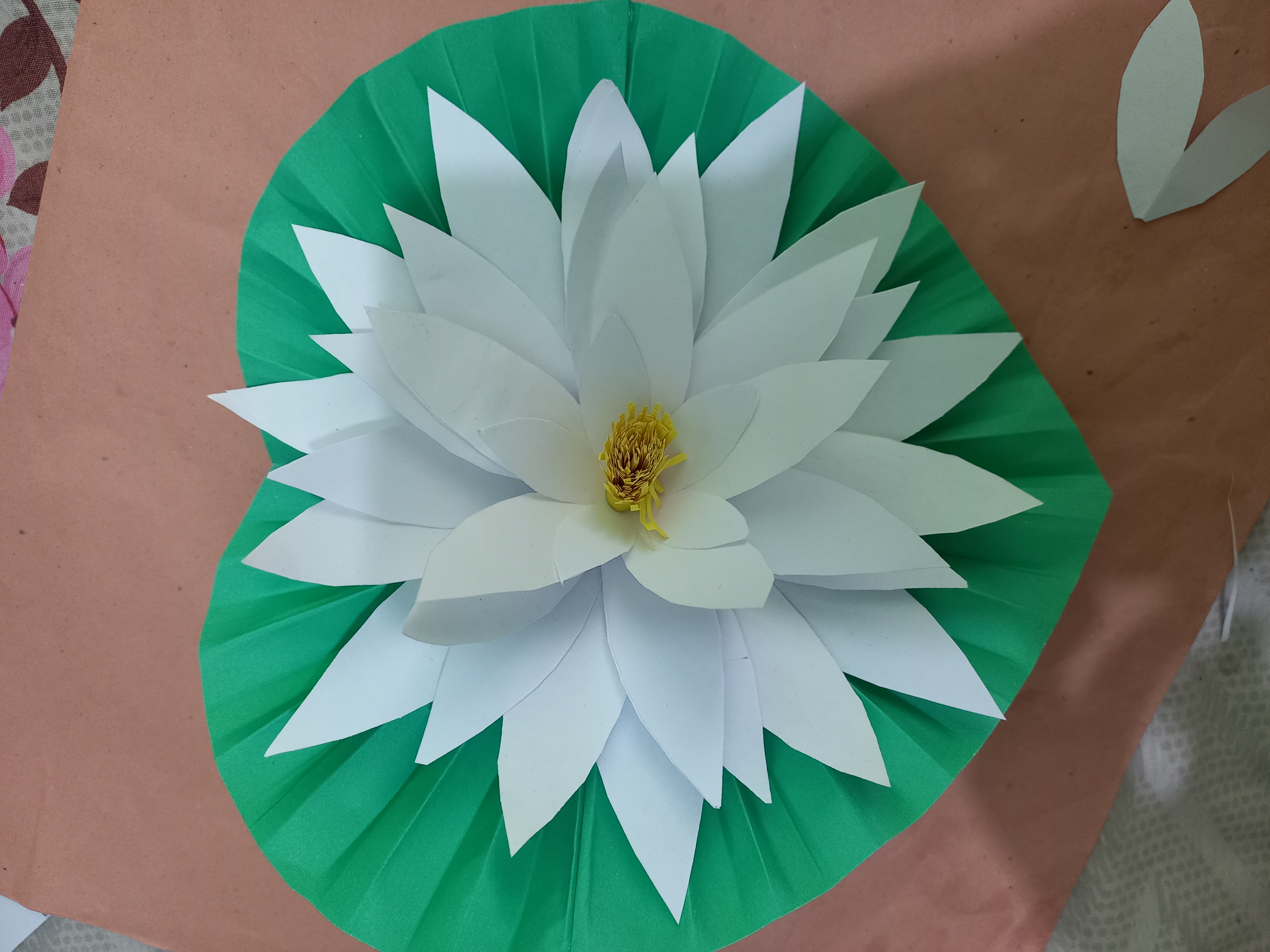 20220126_121338.jpg