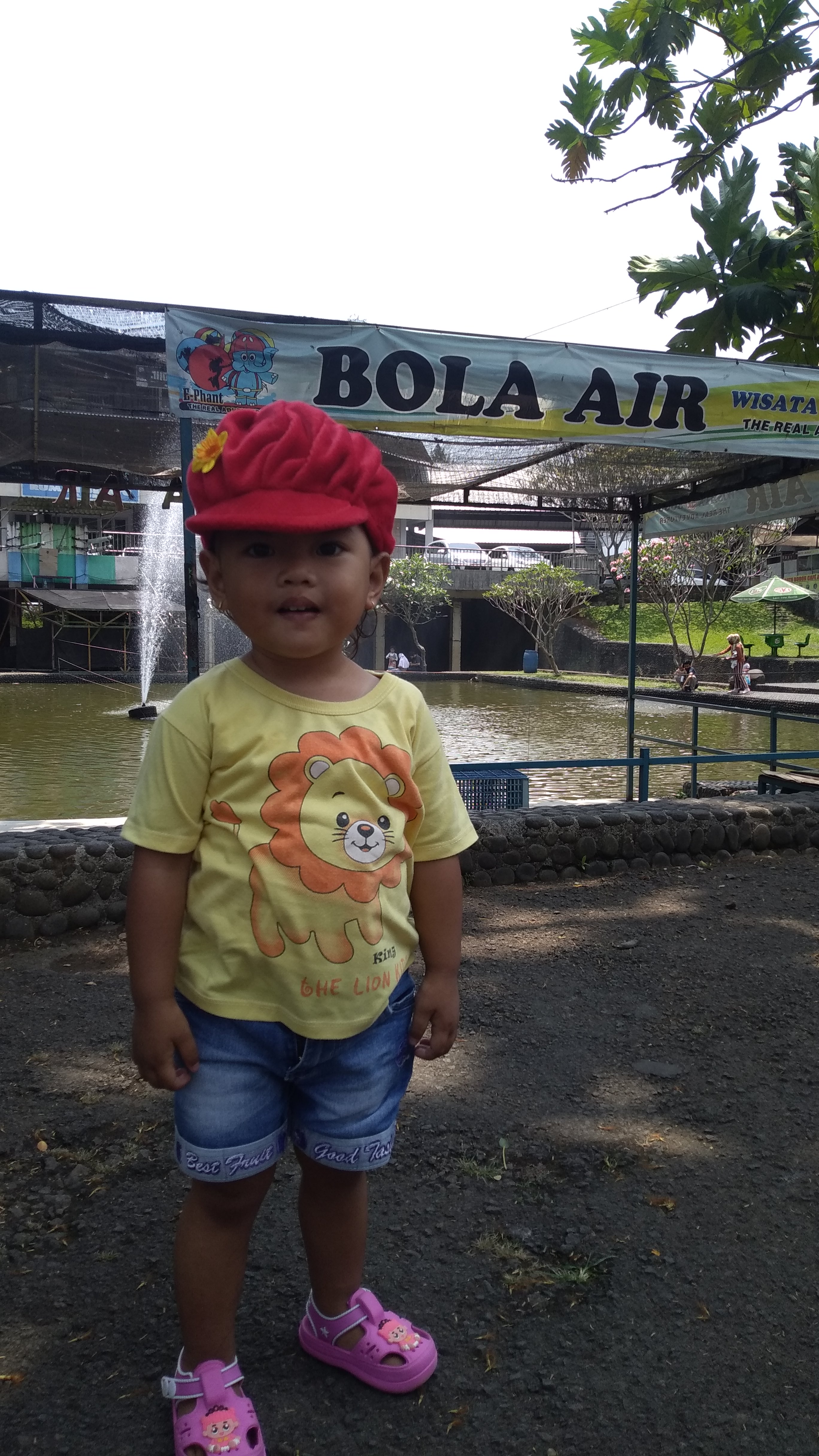 IMG_20200912_115826.jpg